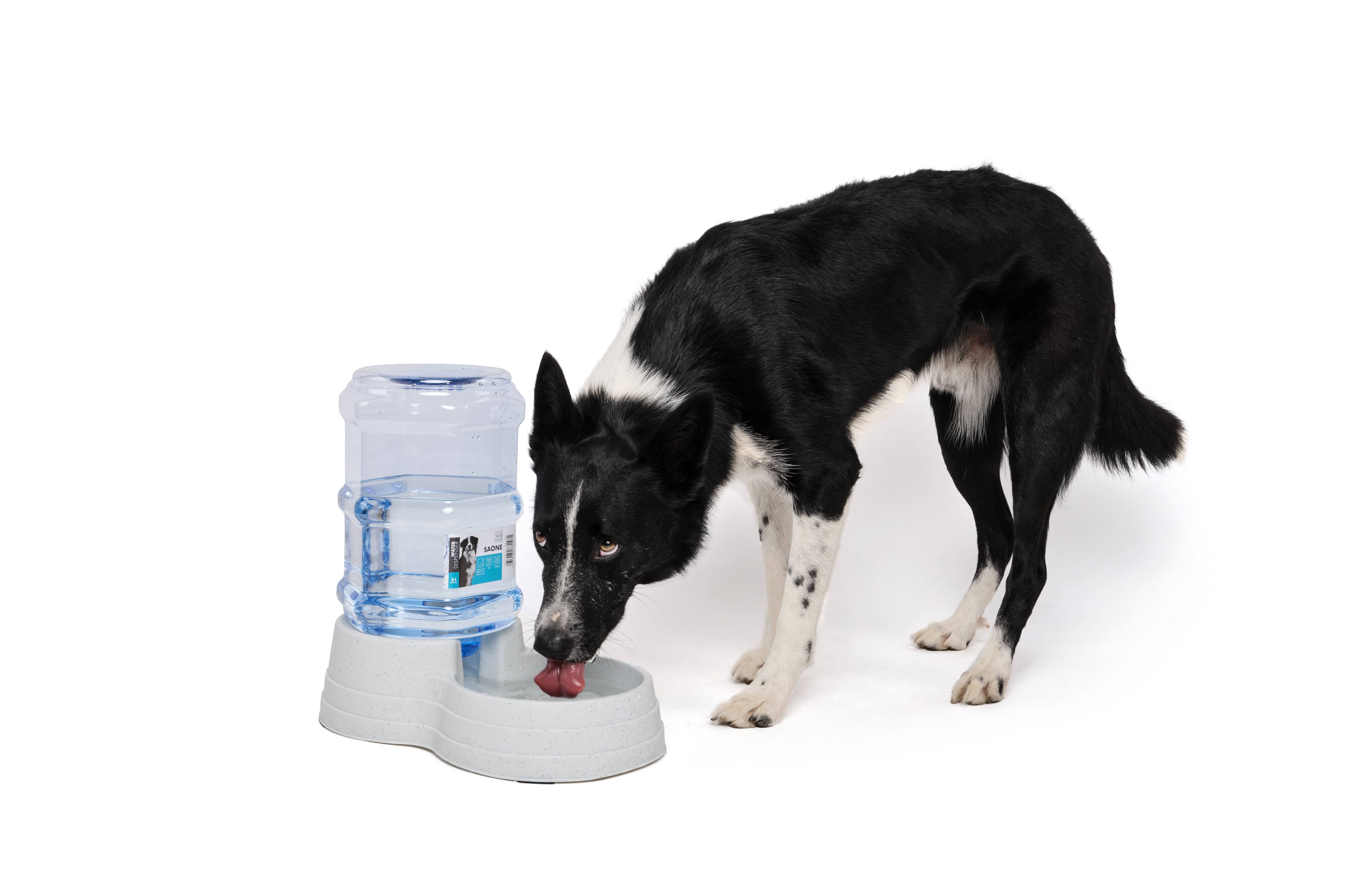 Dispensador de Agua por Gravedad SAONE para Perros y Gatos | M‑PETS®