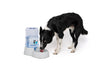 Dispensador de Agua por Gravedad SAONE para Perros y Gatos | M‑PETS®