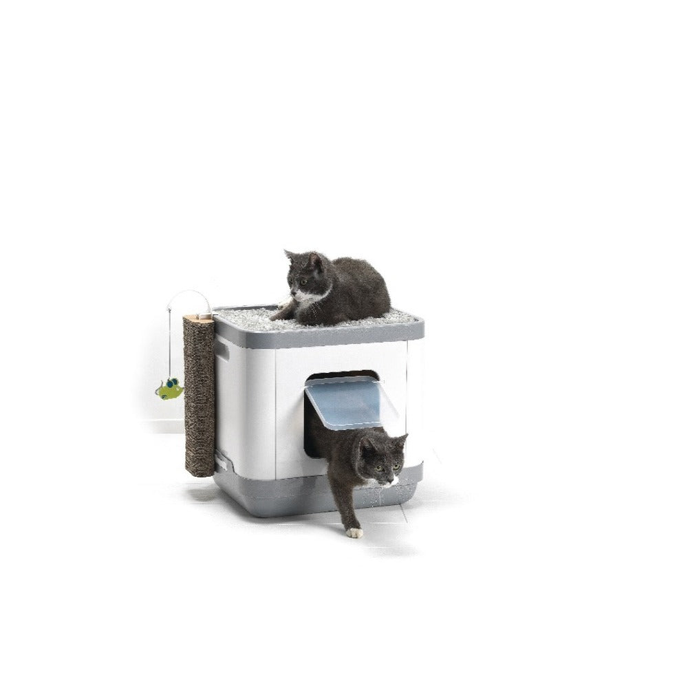 Cat Concept Moderna gris