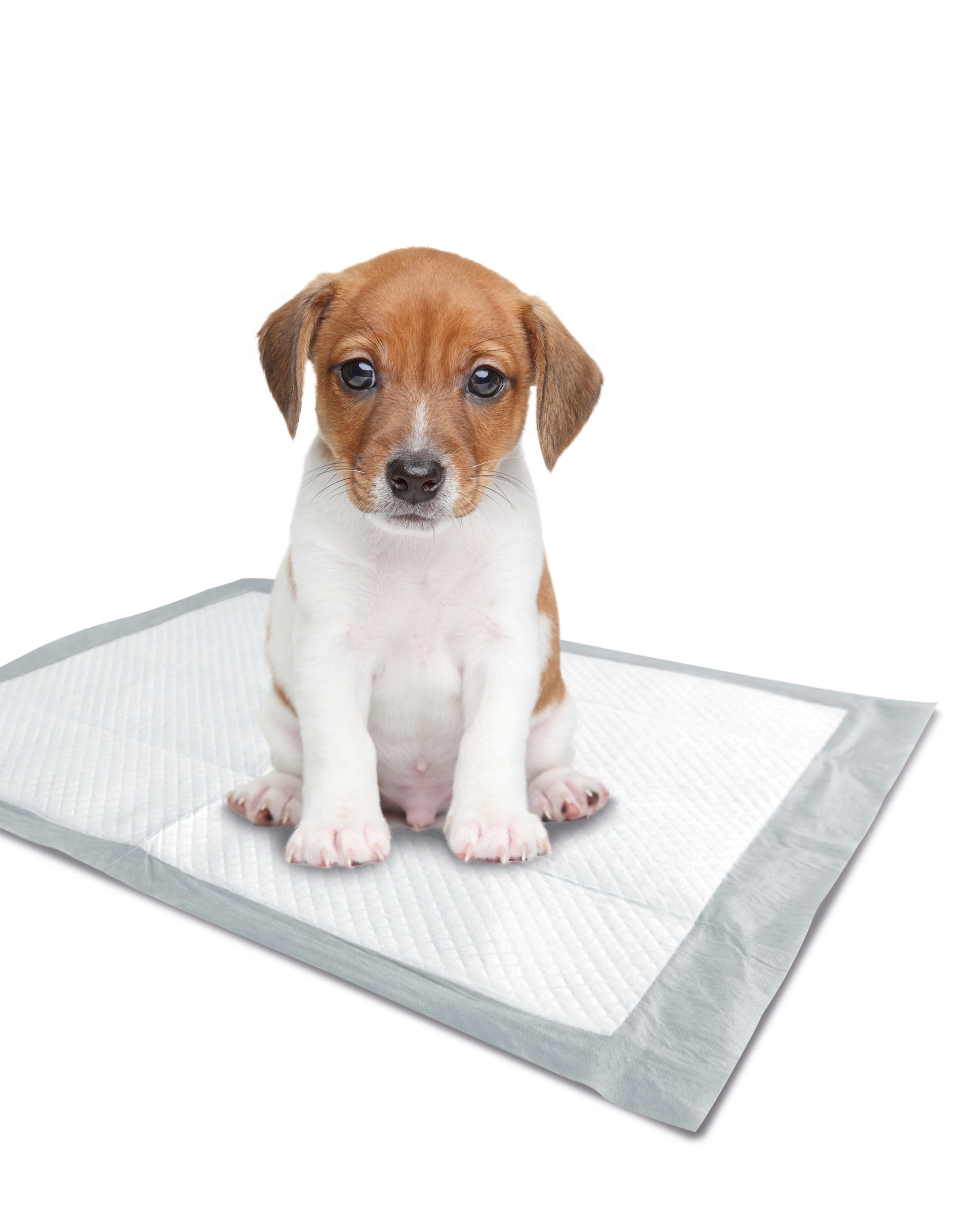 Tapetes Entrenadores Puppy Anti-Fugas para Cachorros y Perros – Absorción Confiable | M‑PETS®