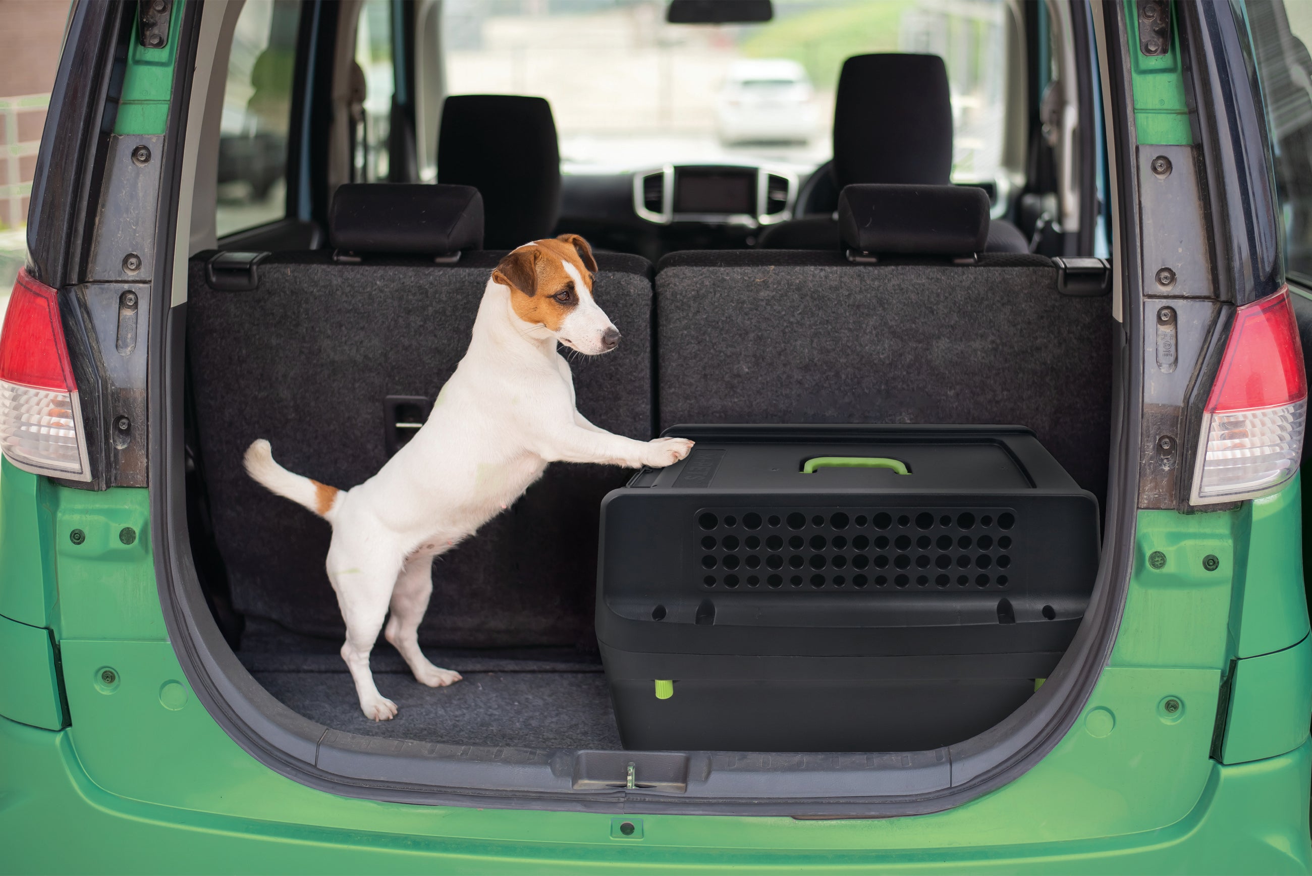 Transportadora ECO TREK para Perros - Negra con Verde (Black & Green) | M-PETS