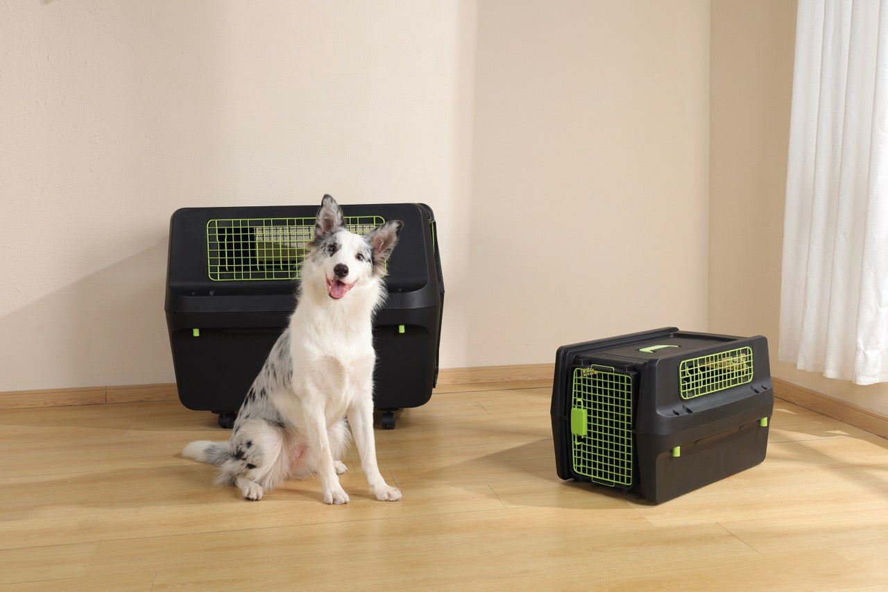 Transportadora PREMIUM ECO TREK para Perros - Negra con Rejillas Metálicas (Black & Green) | M-PETS