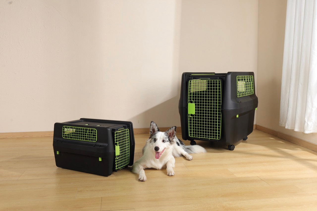 Transportadora PREMIUM ECO TREK para Perros - Negra con Rejillas Metálicas (Black & Green) | M-PETS