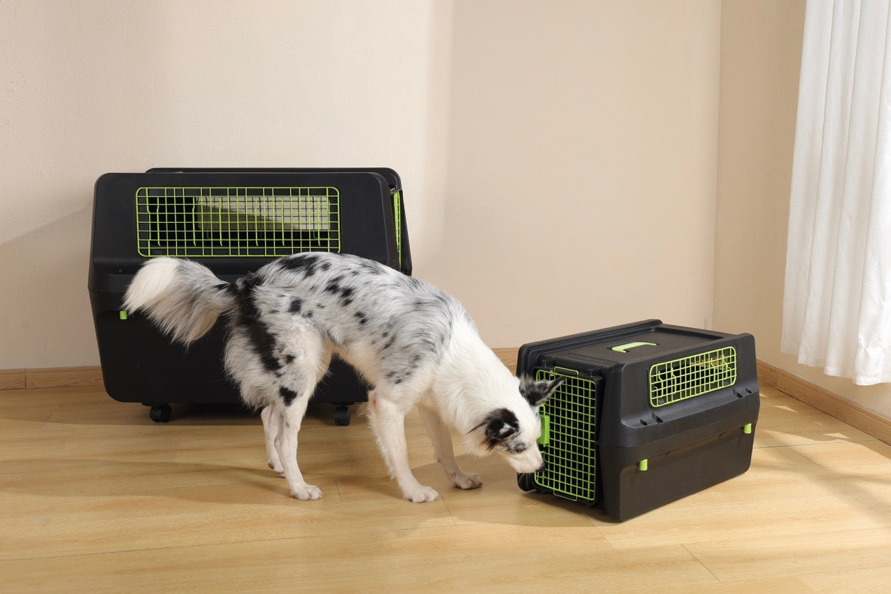 Transportadora PREMIUM ECO TREK para Perros - Negra con Rejillas Metálicas (Black & Green) | M-PETS