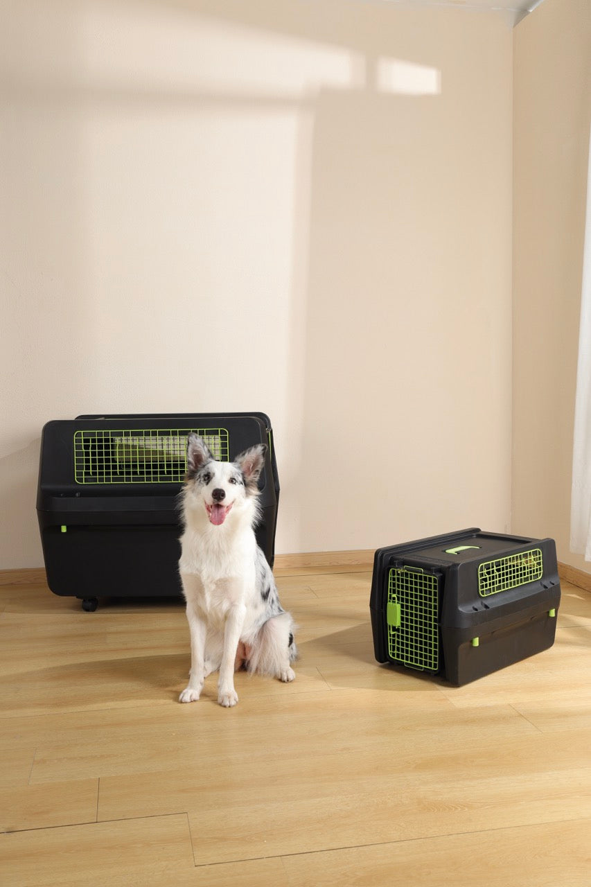 Transportadora PREMIUM ECO TREK para Perros - Negra con Rejillas Metálicas (Black & Green) | M-PETS
