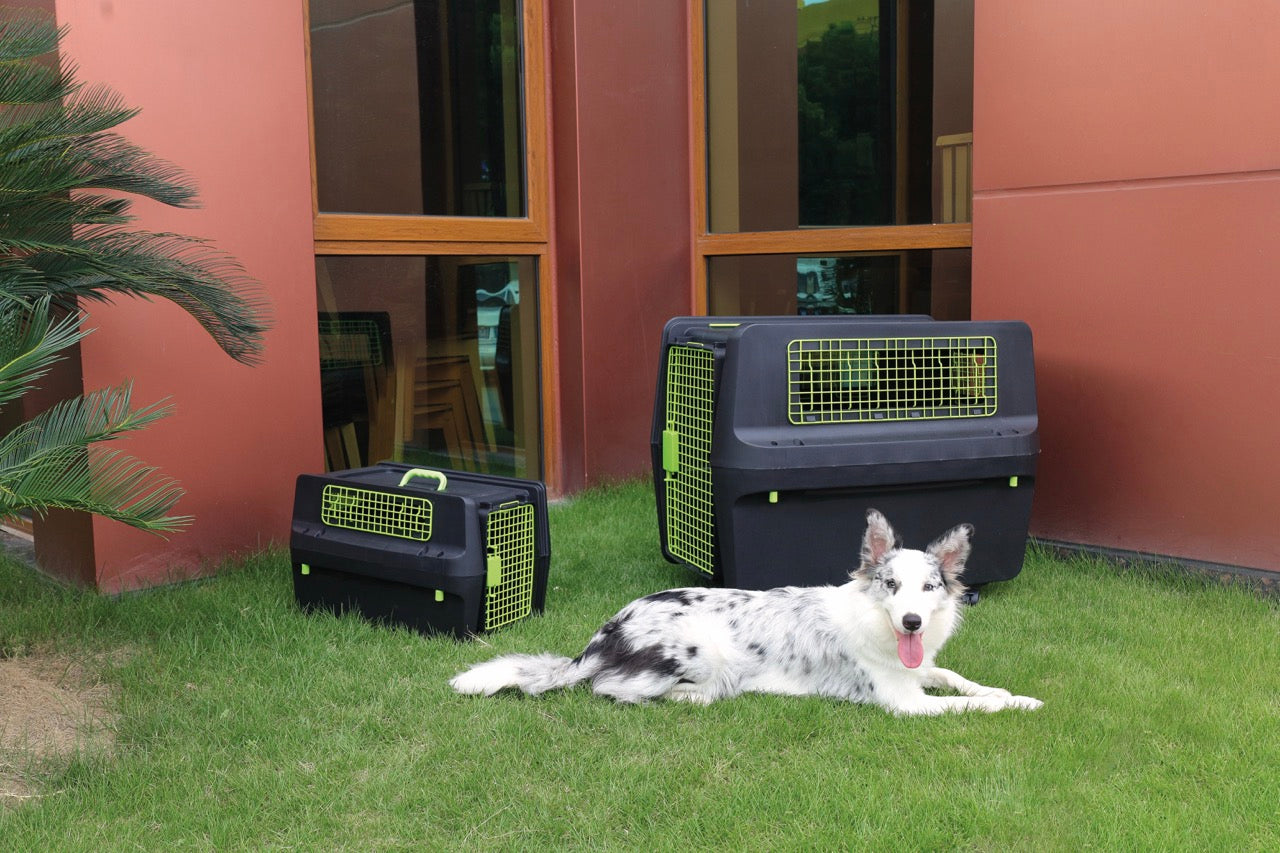 Transportadora PREMIUM ECO TREK para Perros - Negra con Rejillas Metálicas (Black & Green) | M-PETS