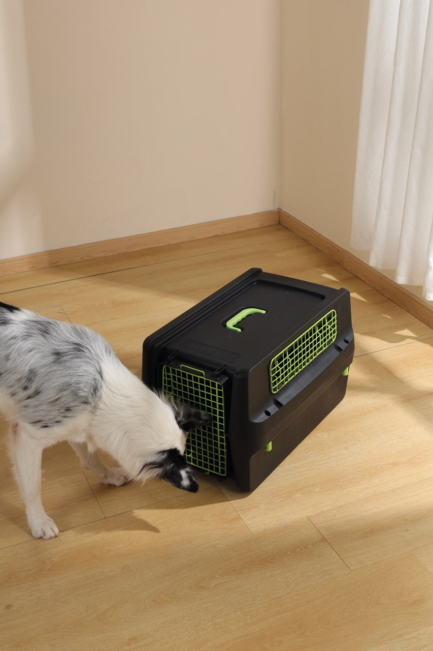 Transportadora PREMIUM ECO TREK para Perros - Negra con Rejillas Metálicas (Black & Green) | M-PETS