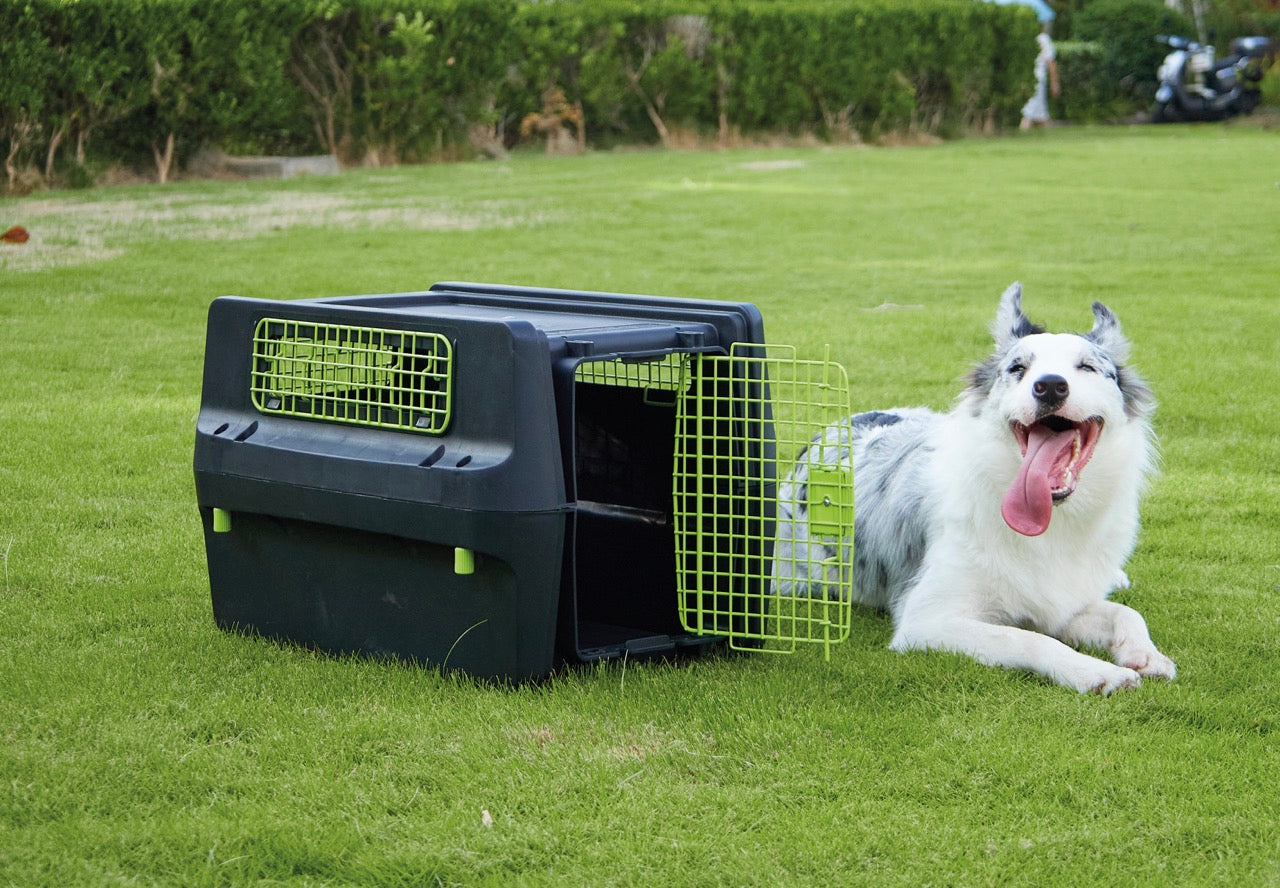 Transportadora PREMIUM ECO TREK para Perros - Negra con Rejillas Metálicas (Black & Green) | M-PETS