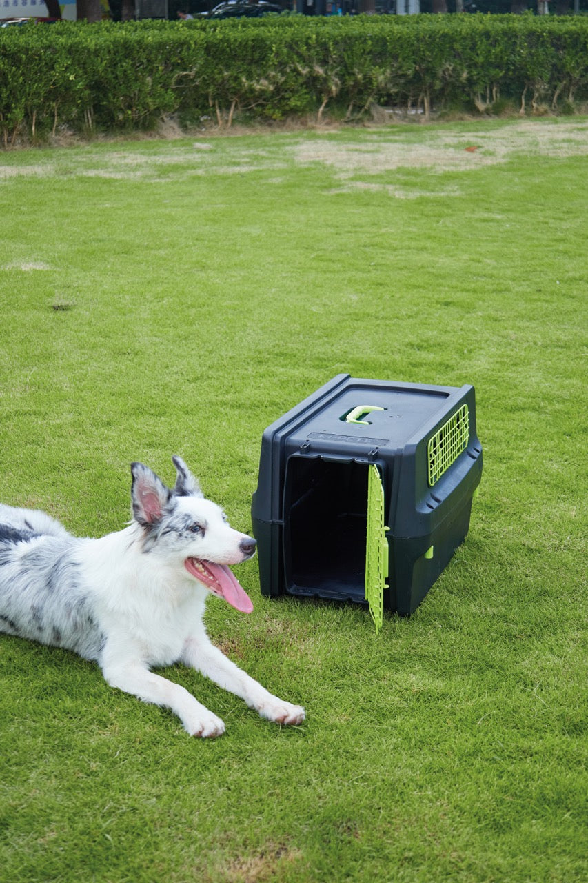 Transportadora PREMIUM ECO TREK para Perros - Negra con Rejillas Metálicas (Black & Green) | M-PETS