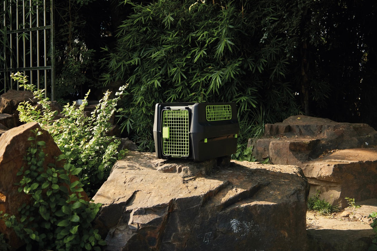 Transportadora PREMIUM ECO TREK para Perros - Negra con Rejillas Metálicas (Black & Green) | M-PETS