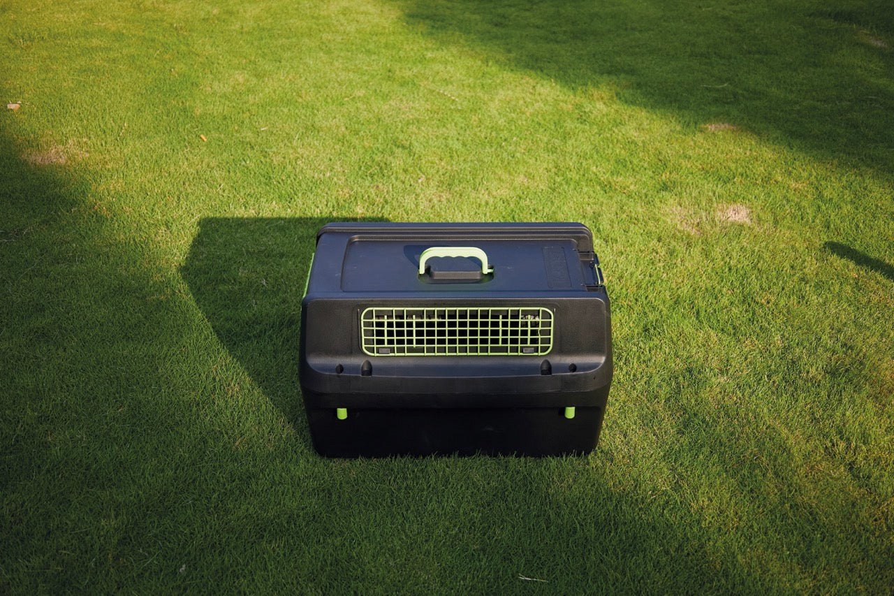 Transportadora PREMIUM ECO TREK para Perros - Negra con Rejillas Metálicas (Black & Green) | M-PETS