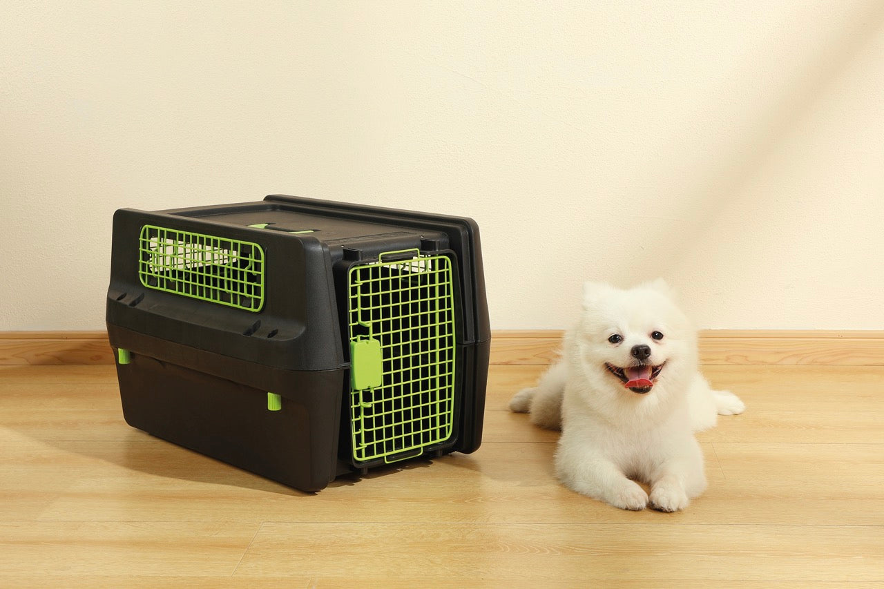 Transportadora PREMIUM ECO TREK para Perros - Negra con Rejillas Metálicas (Black & Green) | M-PETS