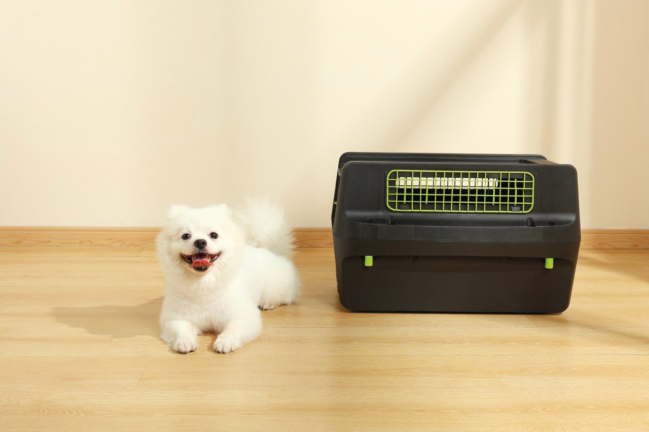 Transportadora PREMIUM ECO TREK para Perros - Negra con Rejillas Metálicas (Black & Green) | M-PETS