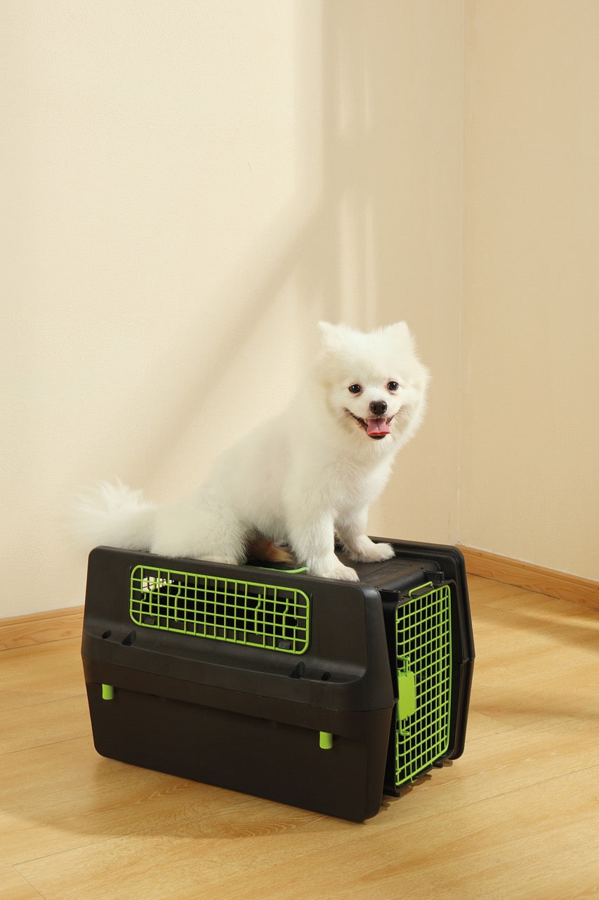 Transportadora PREMIUM ECO TREK para Perros - Negra con Rejillas Metálicas (Black & Green) | M-PETS