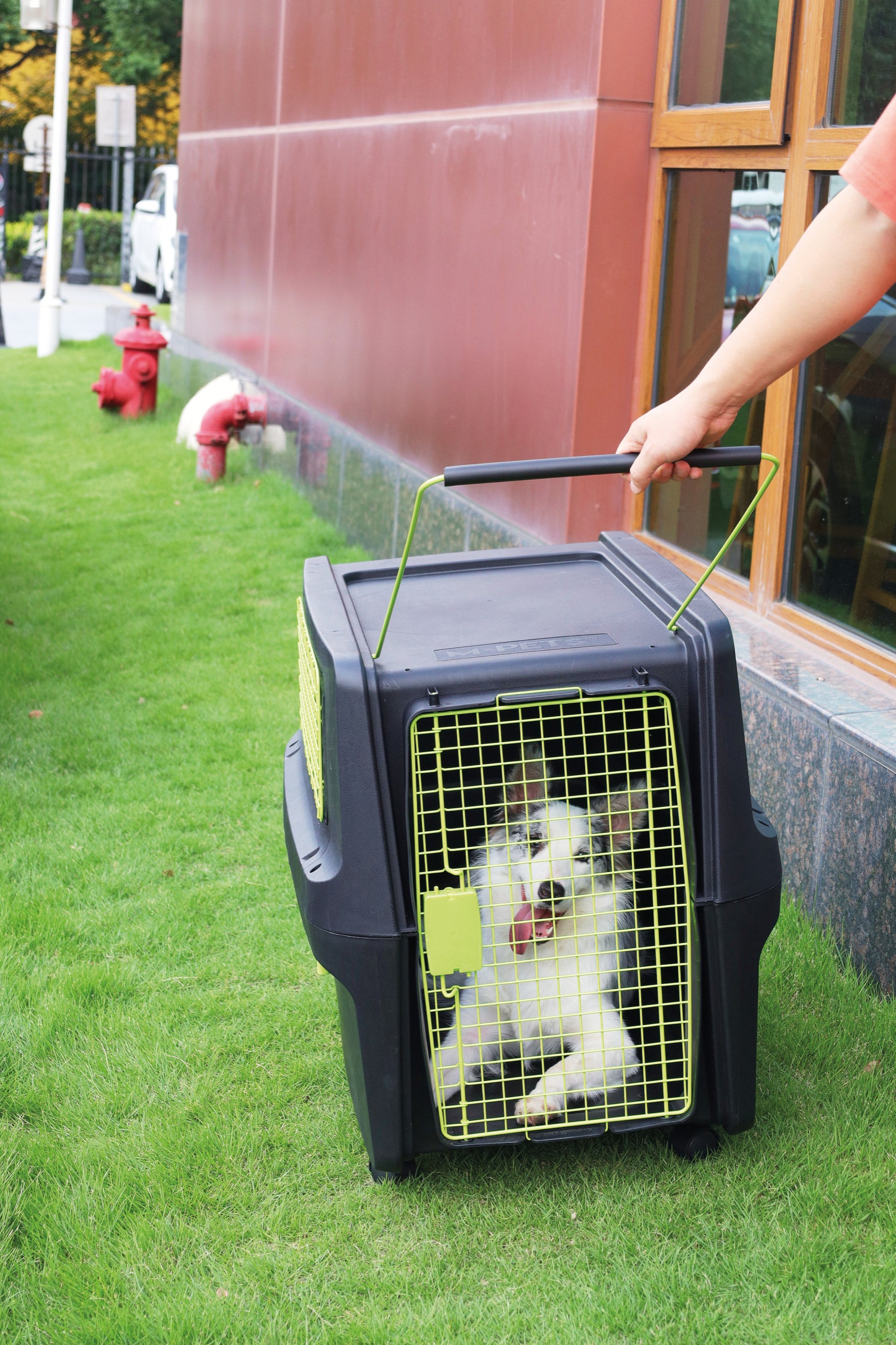 Transportadora PREMIUM ECO TREK para Perros - Negra con Rejillas Metálicas (Black & Green) | M-PETS