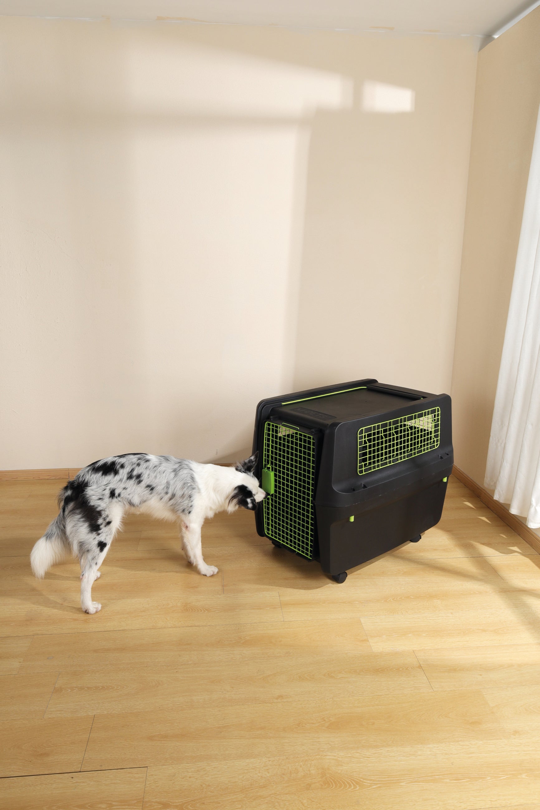 Transportadora PREMIUM ECO TREK para Perros - Negra con Rejillas Metálicas (Black & Green) | M-PETS