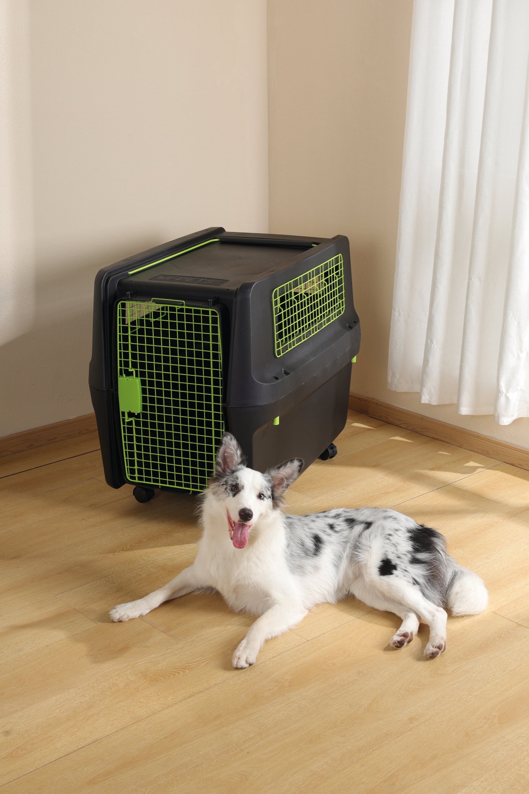 Transportadora PREMIUM ECO TREK para Perros - Negra con Rejillas Metálicas (Black & Green) | M-PETS