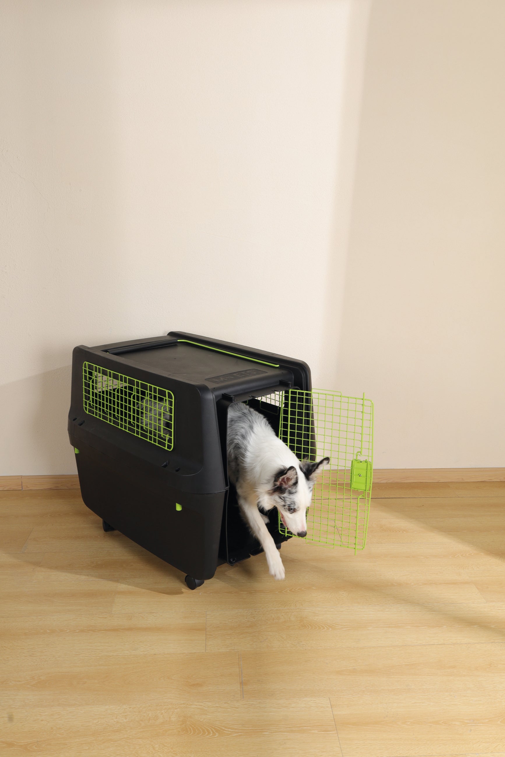 Transportadora PREMIUM ECO TREK para Perros - Negra con Rejillas Metálicas (Black & Green) | M-PETS