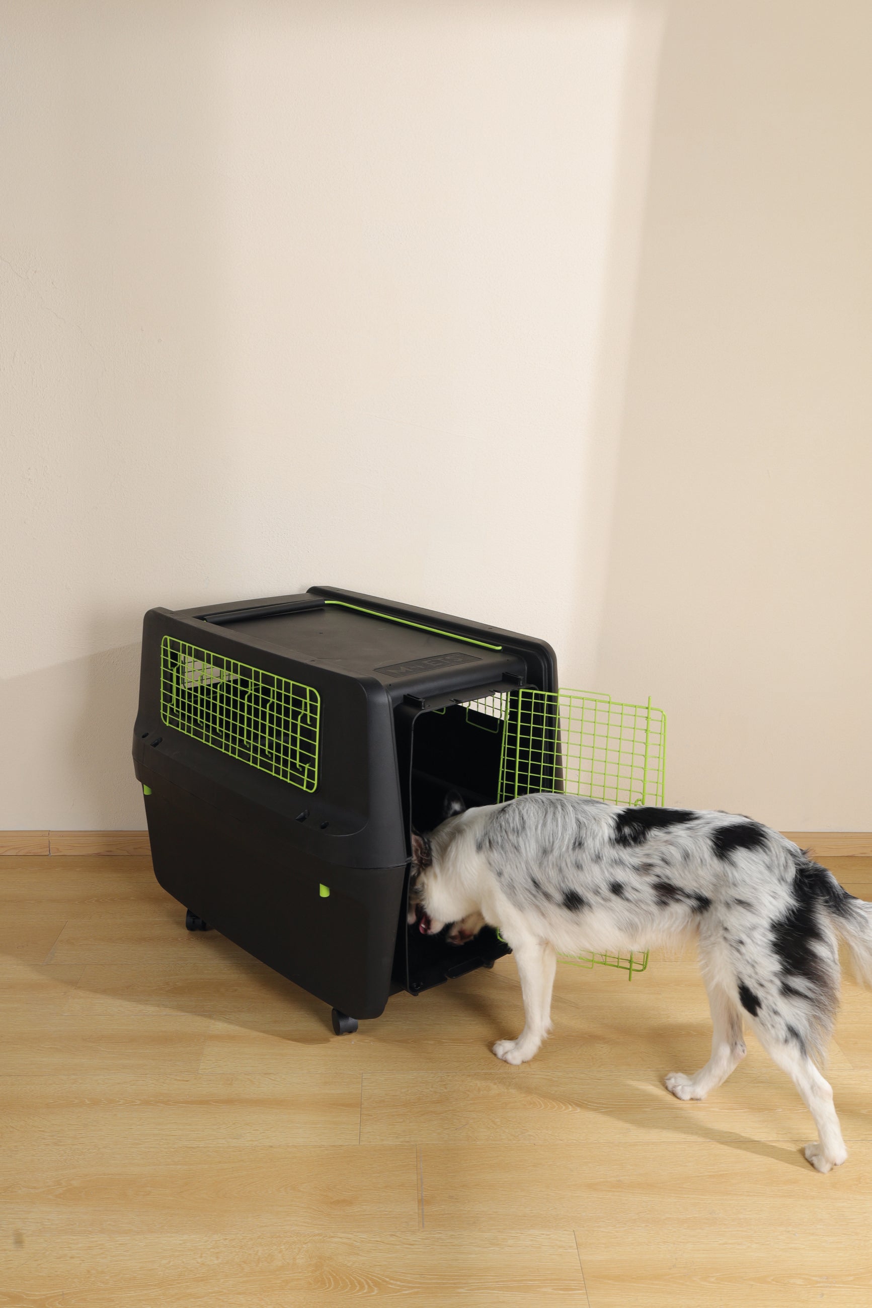 Transportadora PREMIUM ECO TREK para Perros - Negra con Rejillas Metálicas (Black & Green) | M-PETS