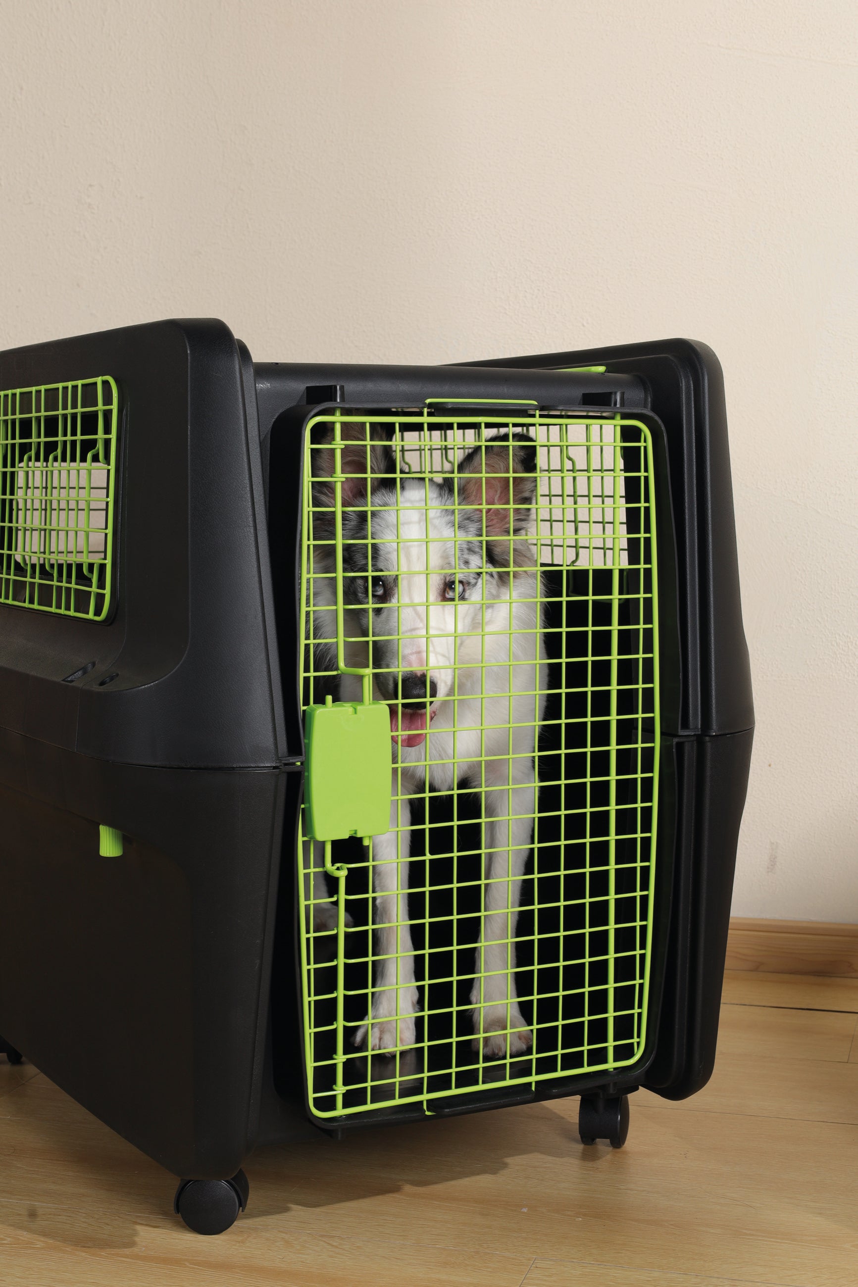 Transportadora PREMIUM ECO TREK para Perros - Negra con Rejillas Metálicas (Black & Green) | M-PETS