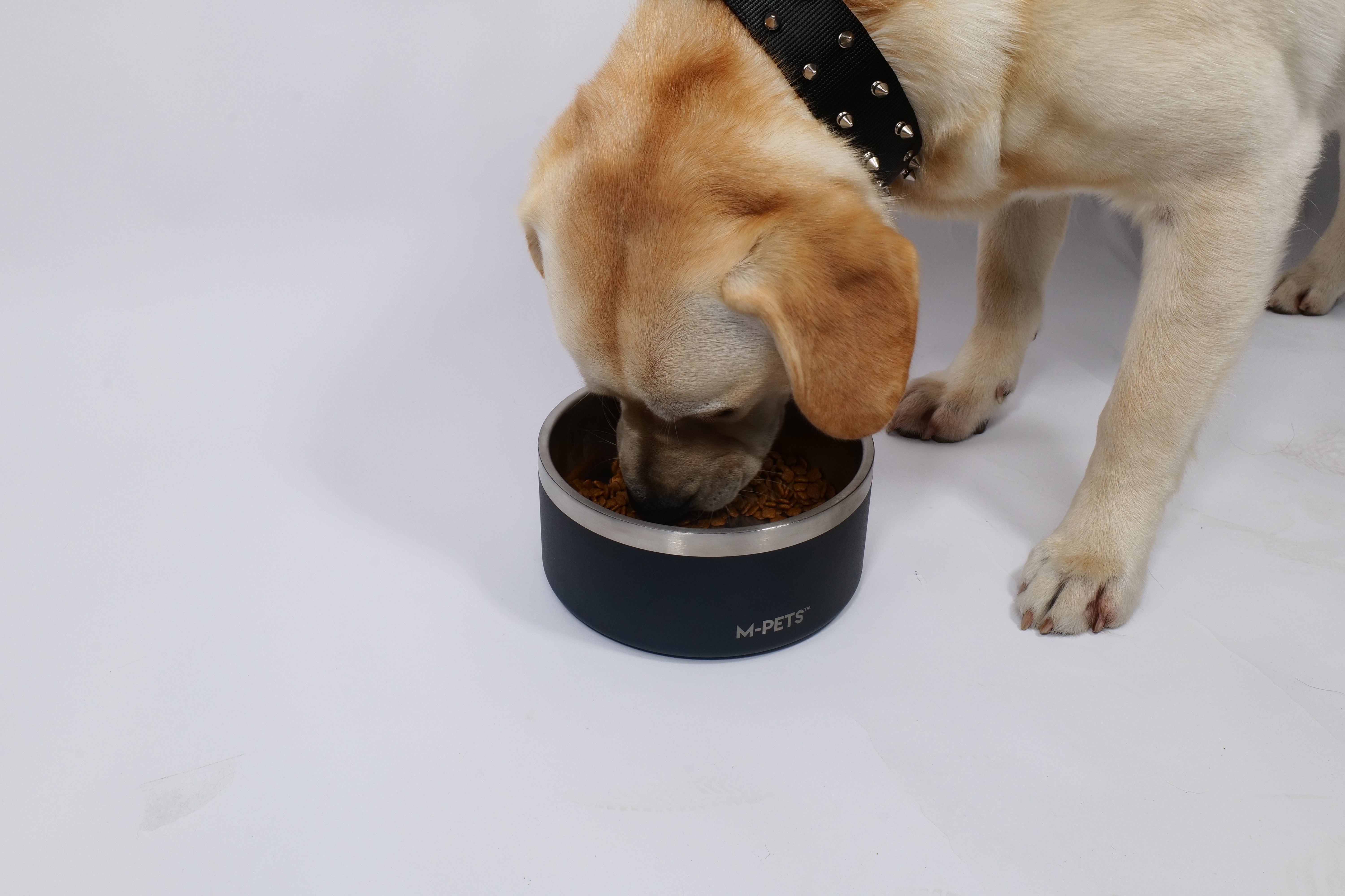 Bowl de Acero Inoxidable Doble Pared ESKIMO Negro para Perros y Gatos | M‑PETS®