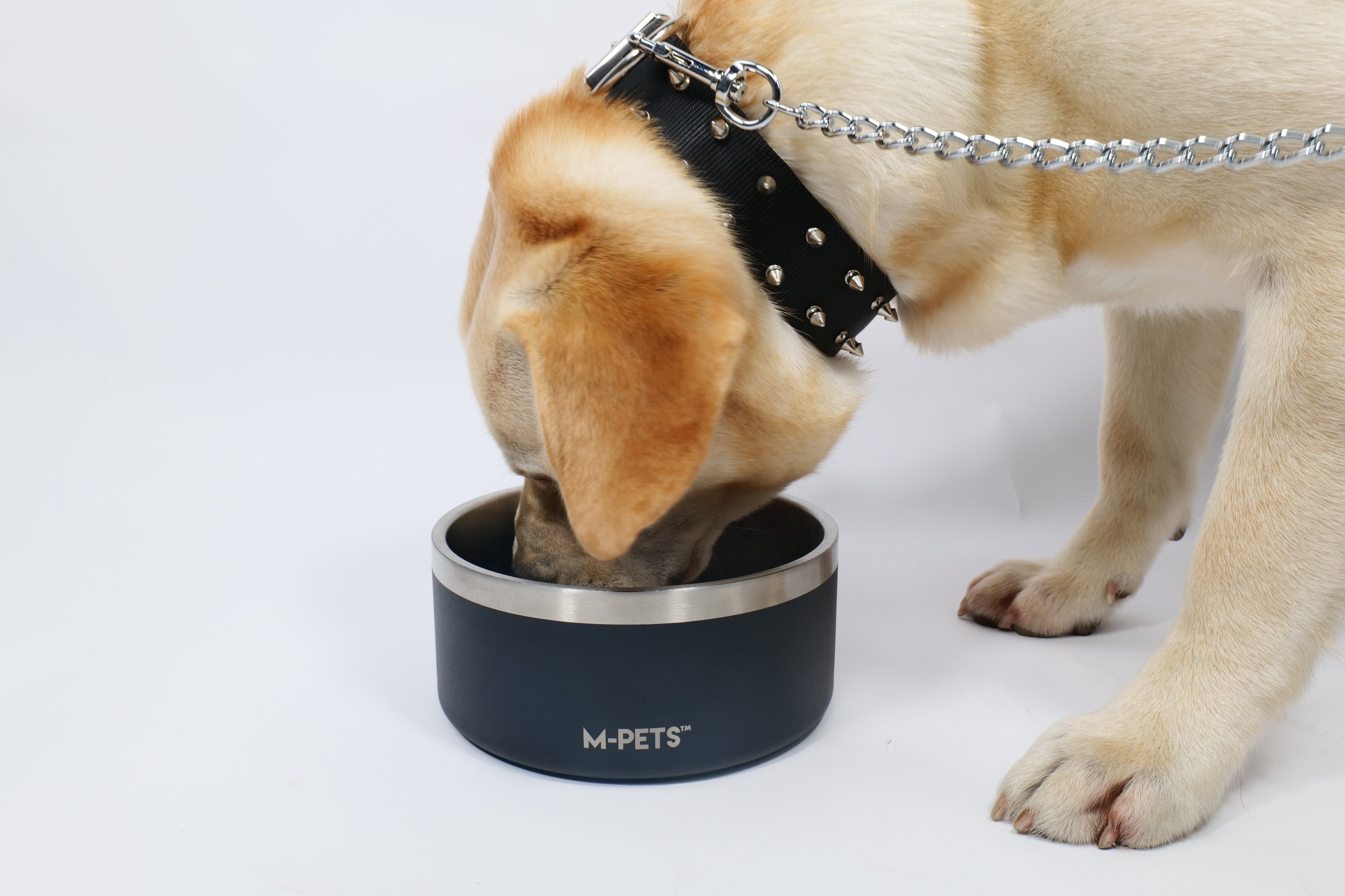 Bowl de Acero Inoxidable Doble Pared ESKIMO Negro para Perros y Gatos | M‑PETS®