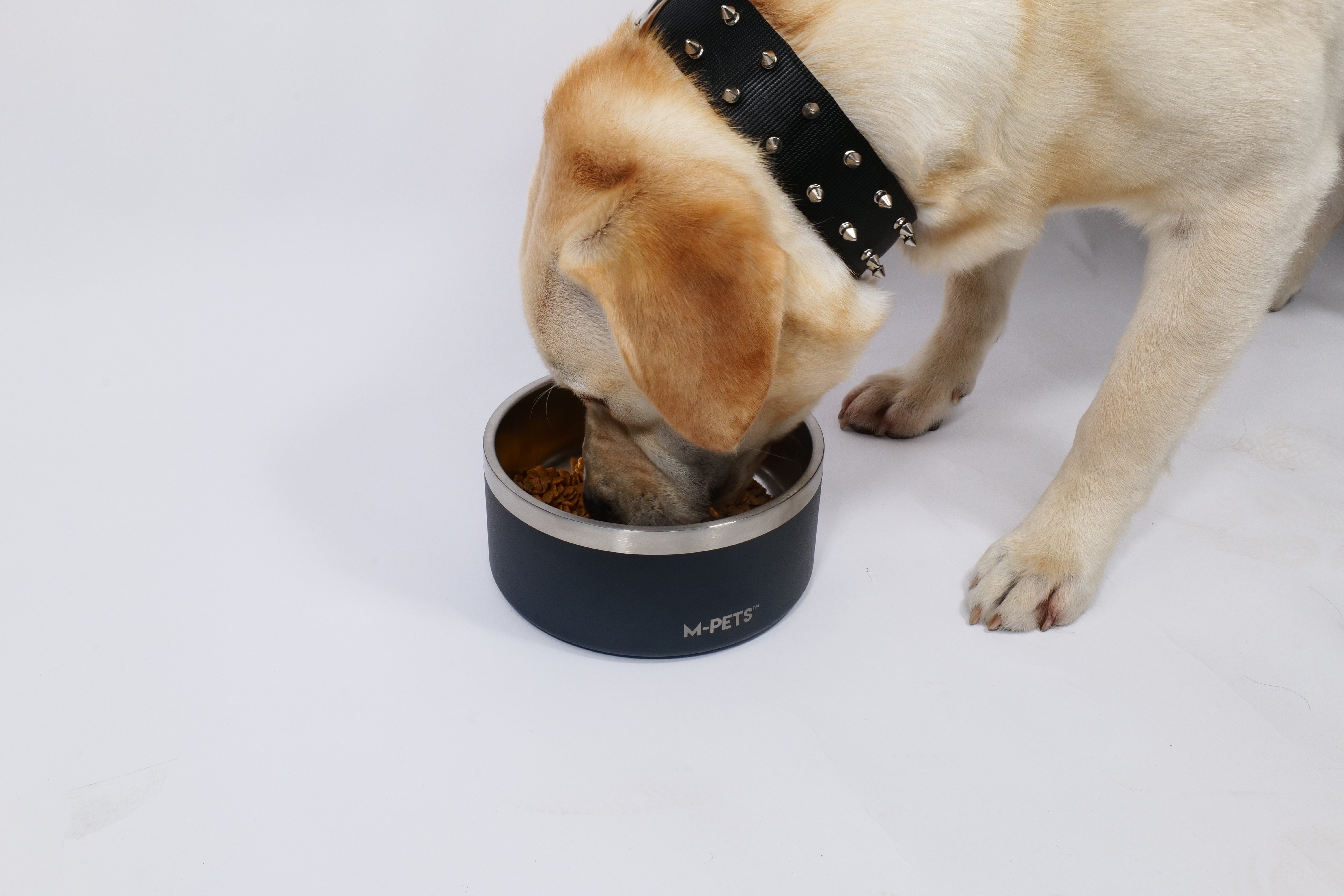 Bowl de Acero Inoxidable Doble Pared ESKIMO Negro para Perros y Gatos | M‑PETS®