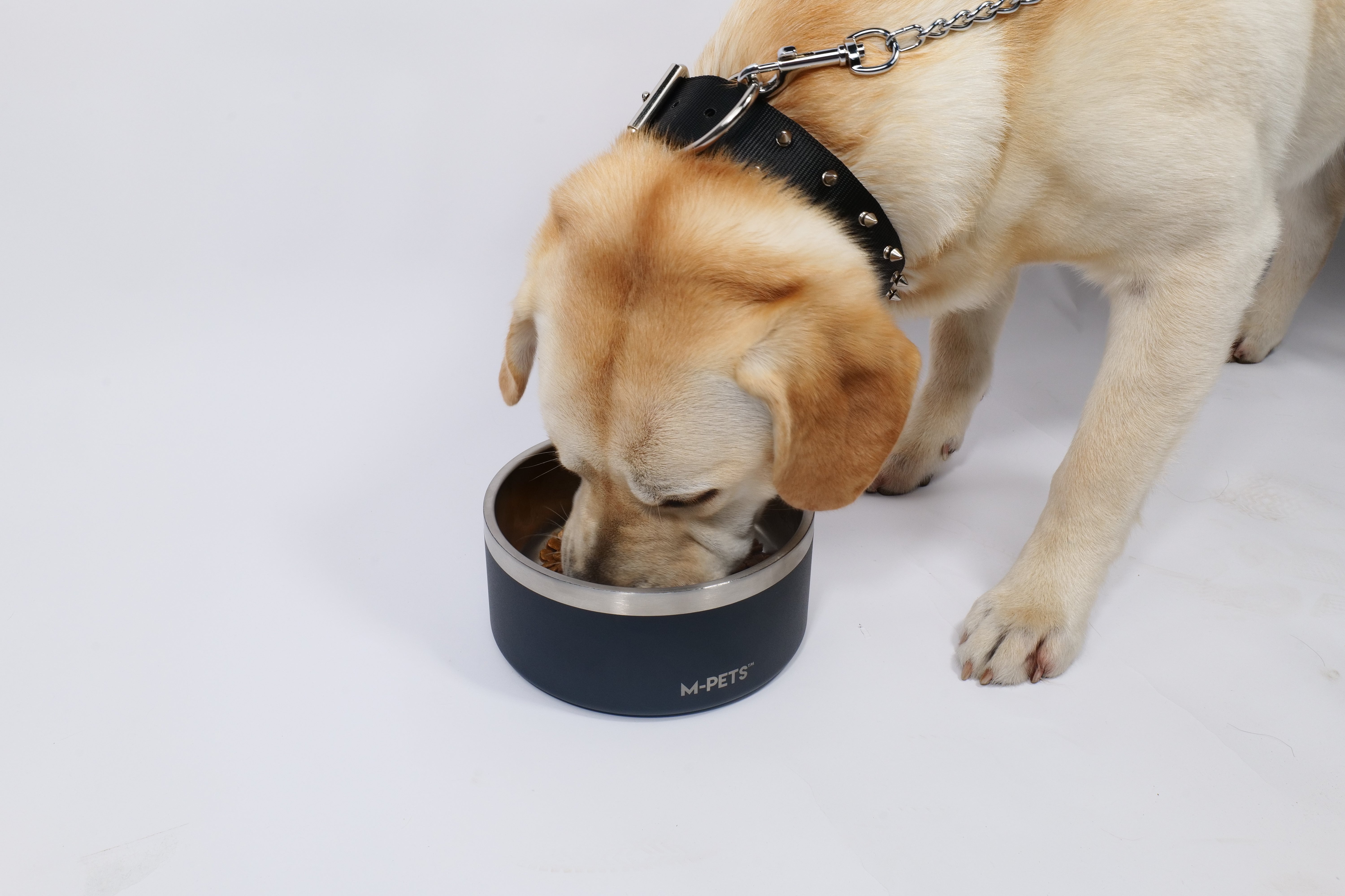 Bowl de Acero Inoxidable Doble Pared ESKIMO Negro para Perros y Gatos | M‑PETS®