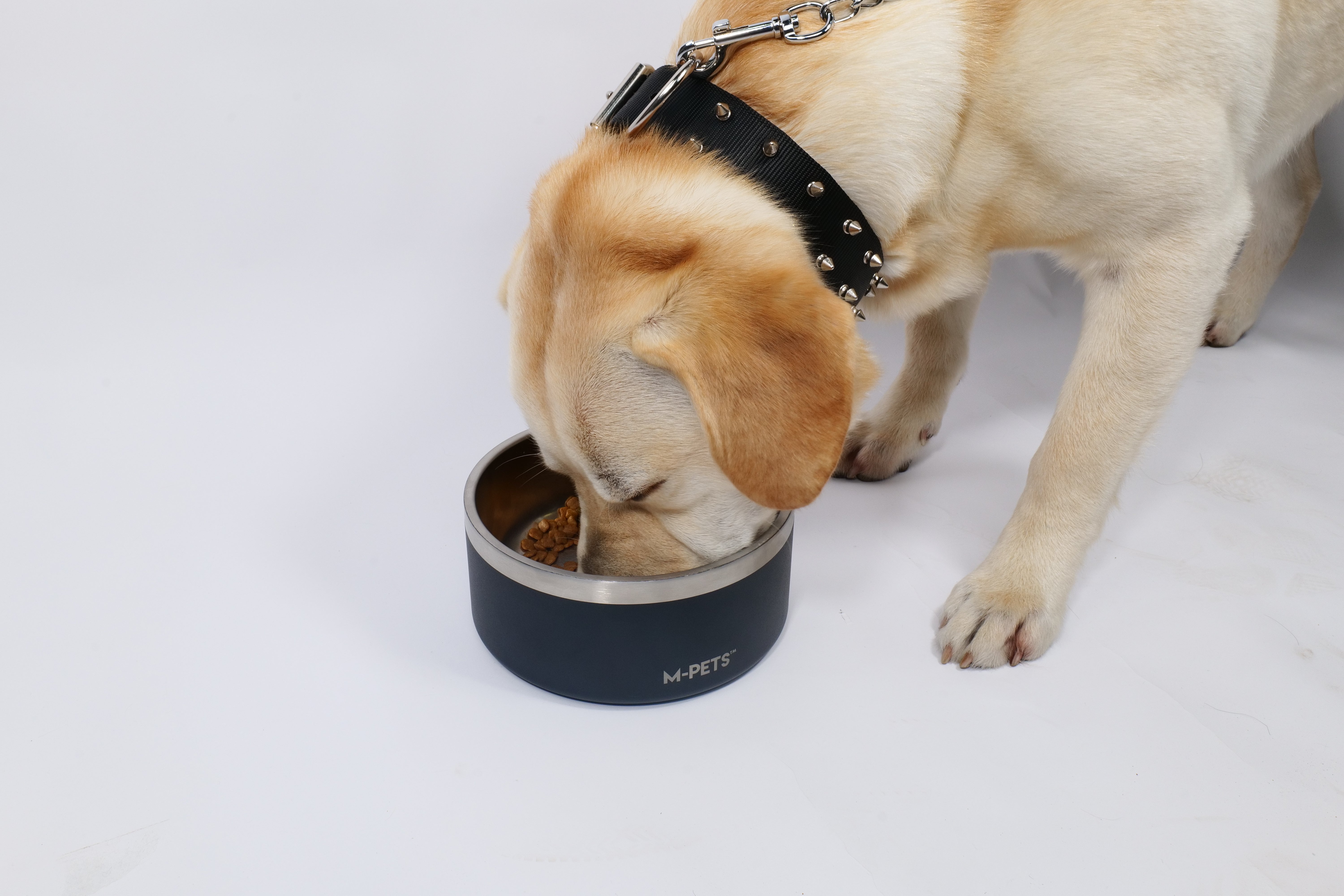 Bowl de Acero Inoxidable Doble Pared ESKIMO Negro para Perros y Gatos | M‑PETS®
