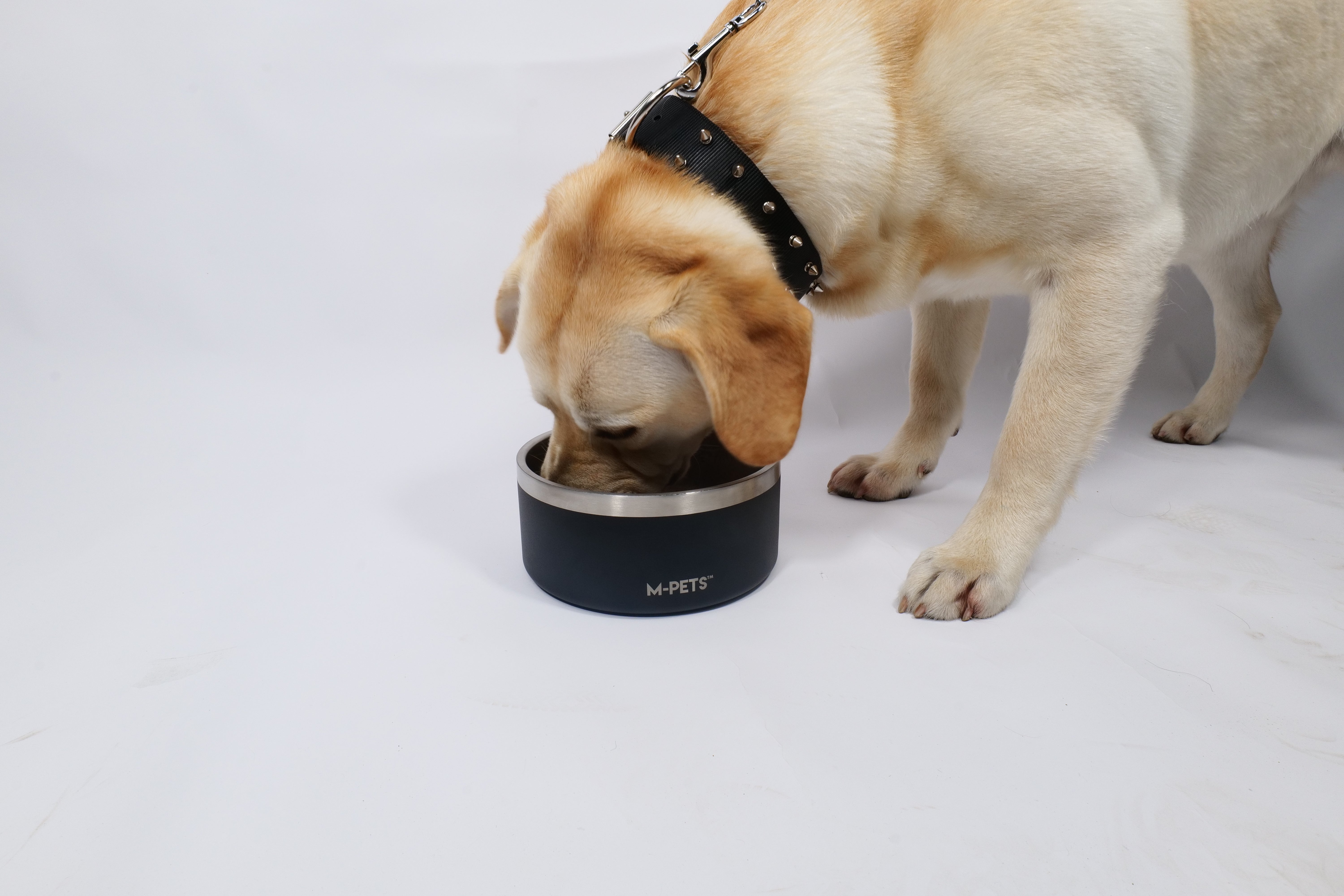 Bowl de Acero Inoxidable Doble Pared ESKIMO Negro para Perros y Gatos | M‑PETS®