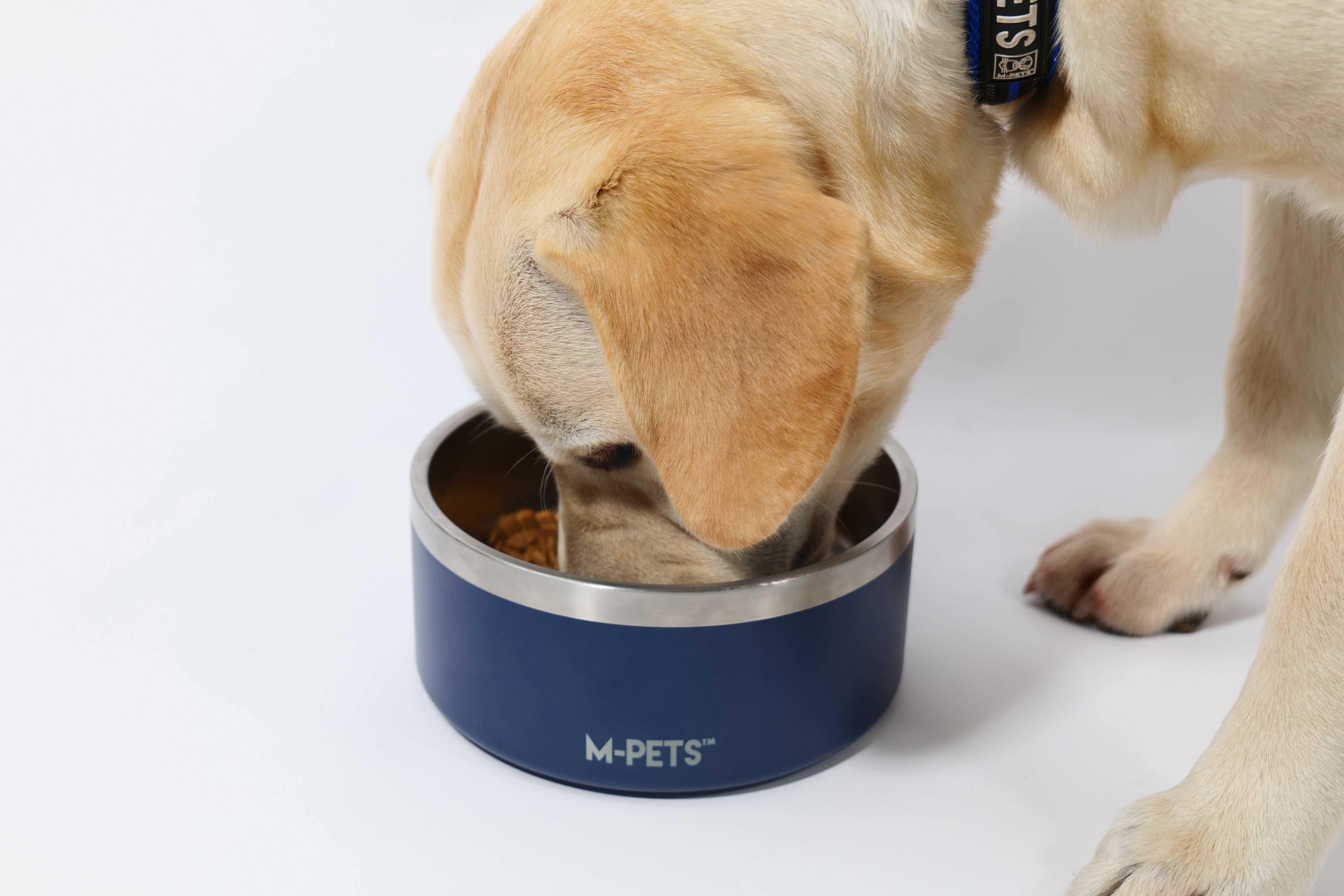 Bowl de Acero Inoxidable Doble Pared ESKIMO Azul para Perros y Gatos | M‑PETS®