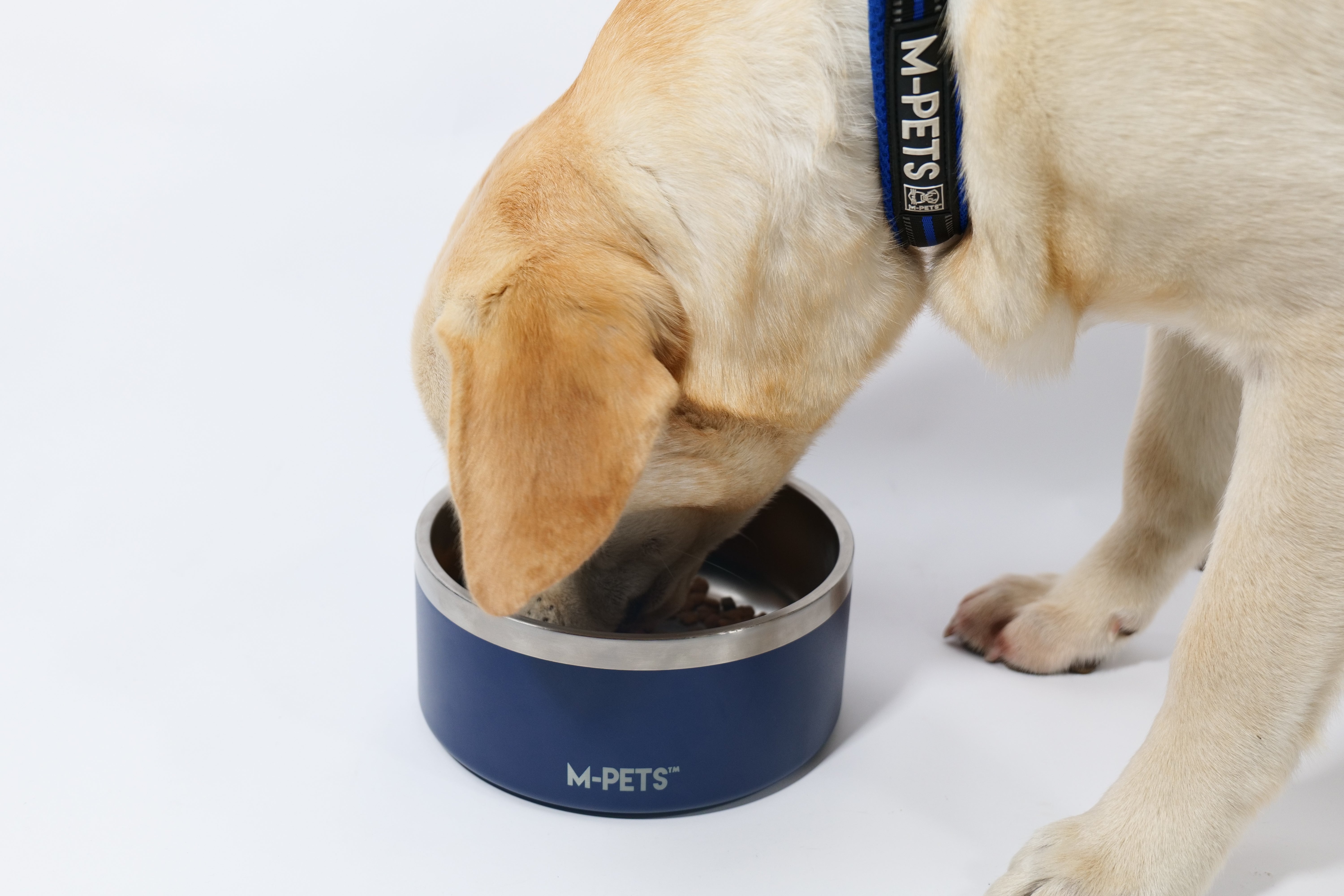 Bowl de Acero Inoxidable Doble Pared ESKIMO Azul para Perros y Gatos | M‑PETS®