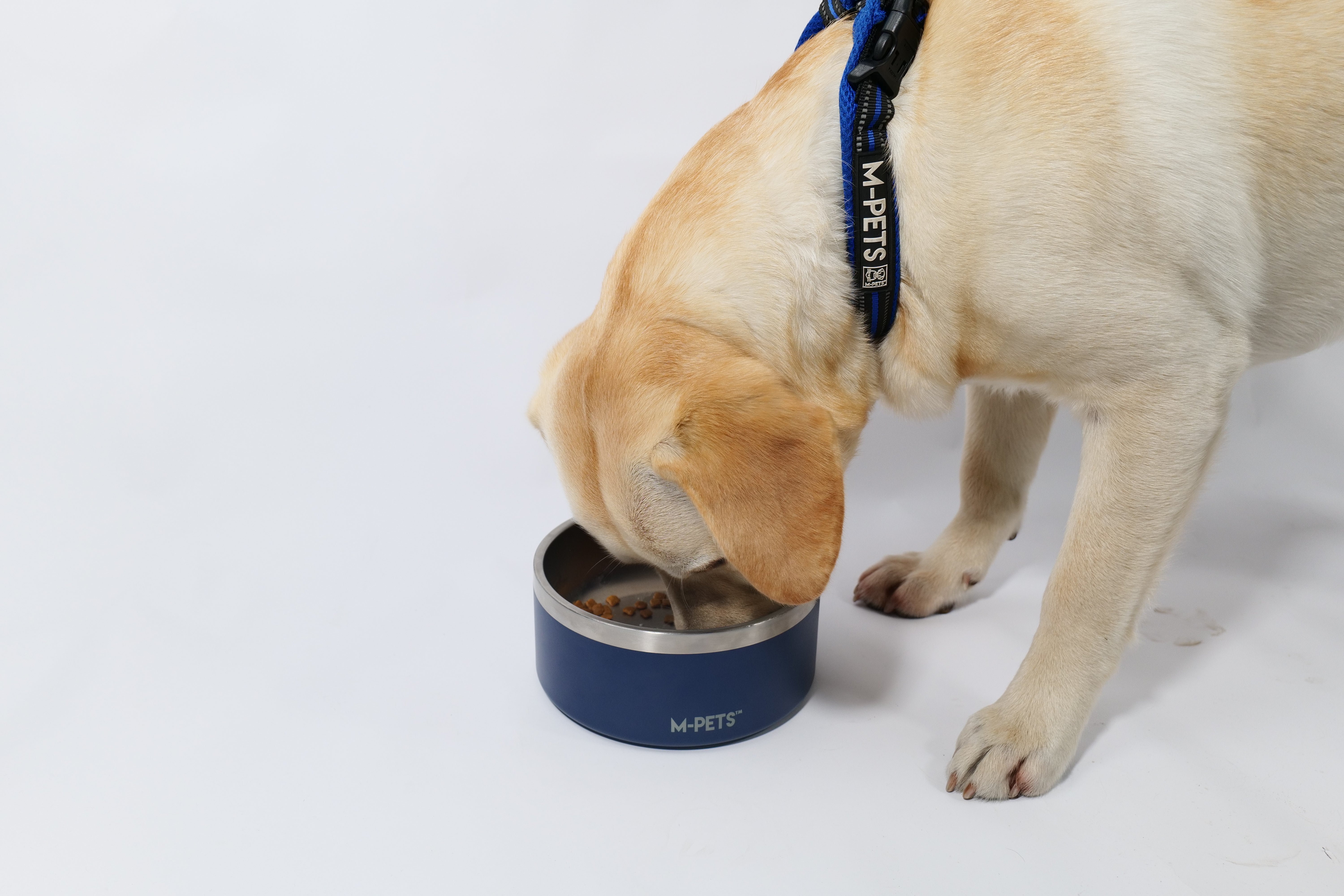 Bowl de Acero Inoxidable Doble Pared ESKIMO Azul para Perros y Gatos | M‑PETS®