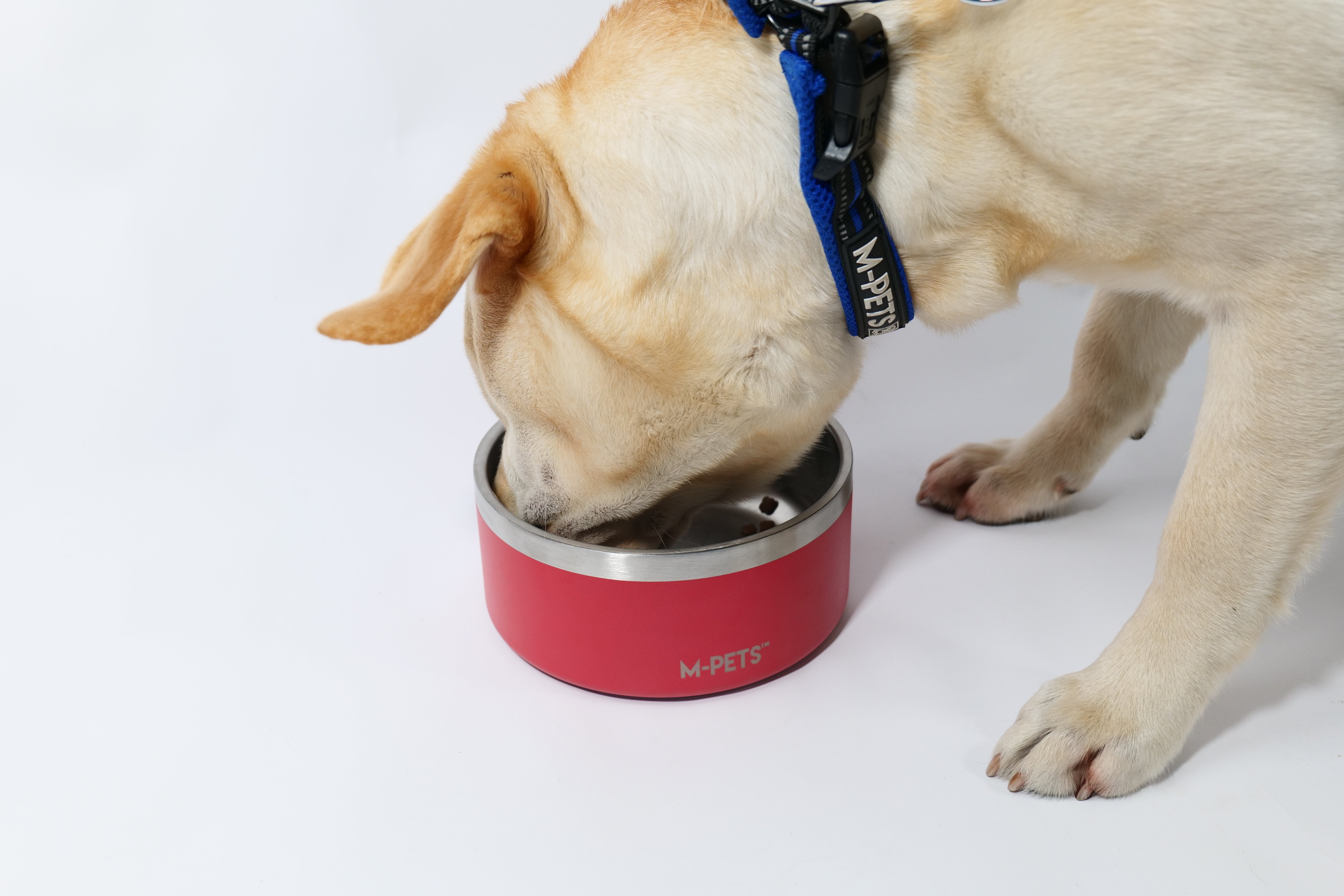Bowl de Acero Inoxidable Doble Pared ESKIMO Rojo para Perros y Gatos | M‑PETS®