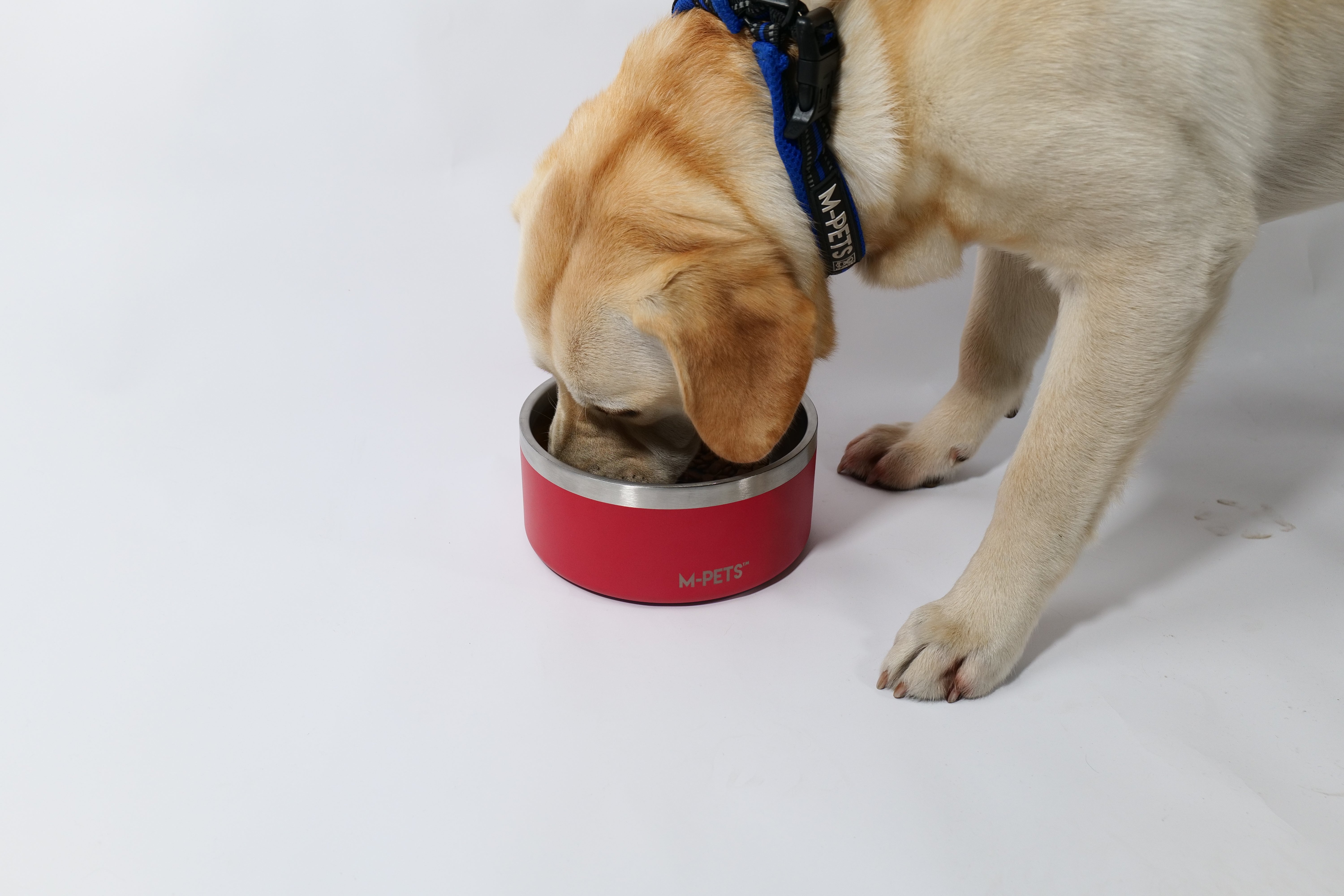 Bowl de Acero Inoxidable Doble Pared ESKIMO Rojo para Perros y Gatos | M‑PETS®
