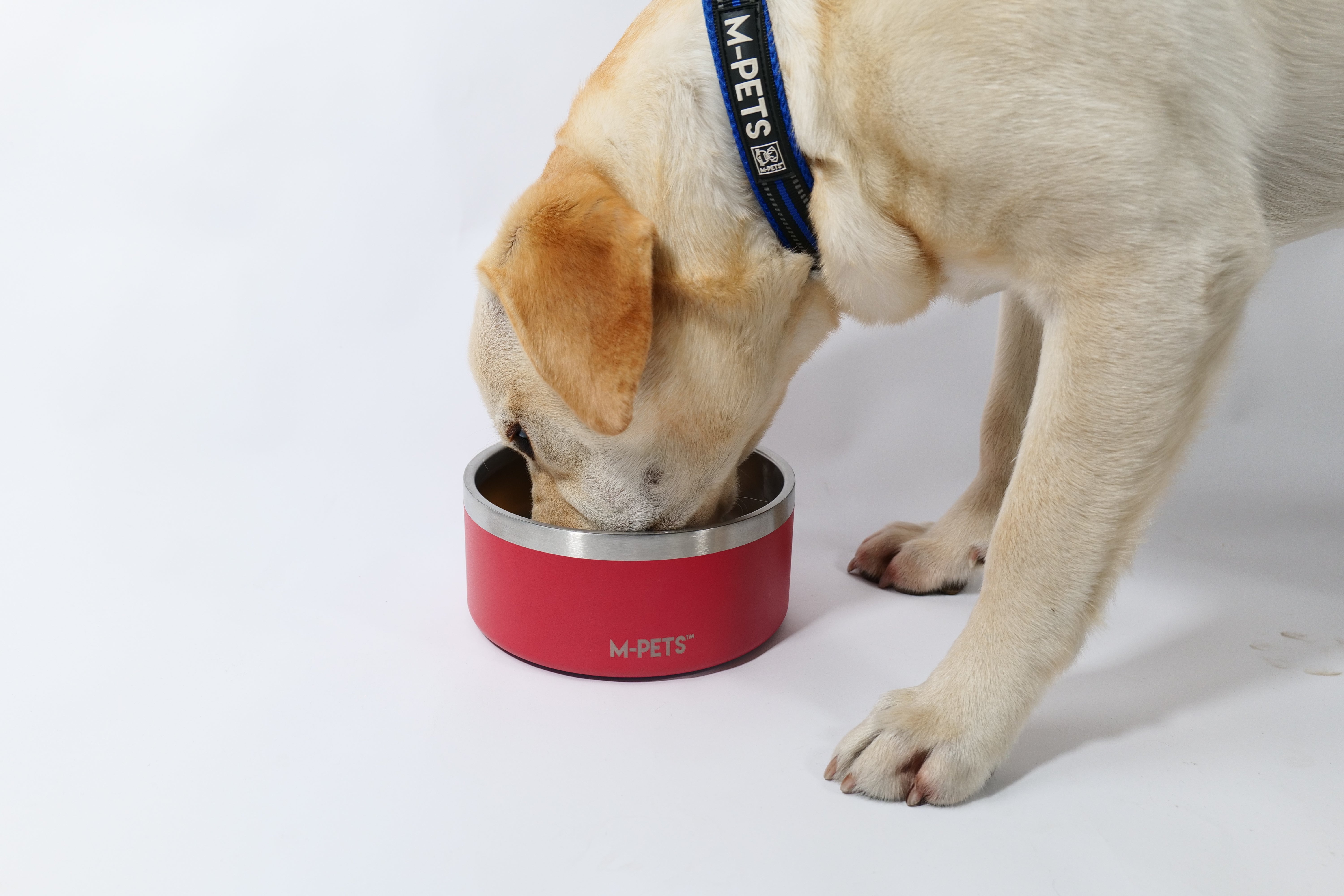 Bowl de Acero Inoxidable Doble Pared ESKIMO Rojo para Perros y Gatos | M‑PETS®
