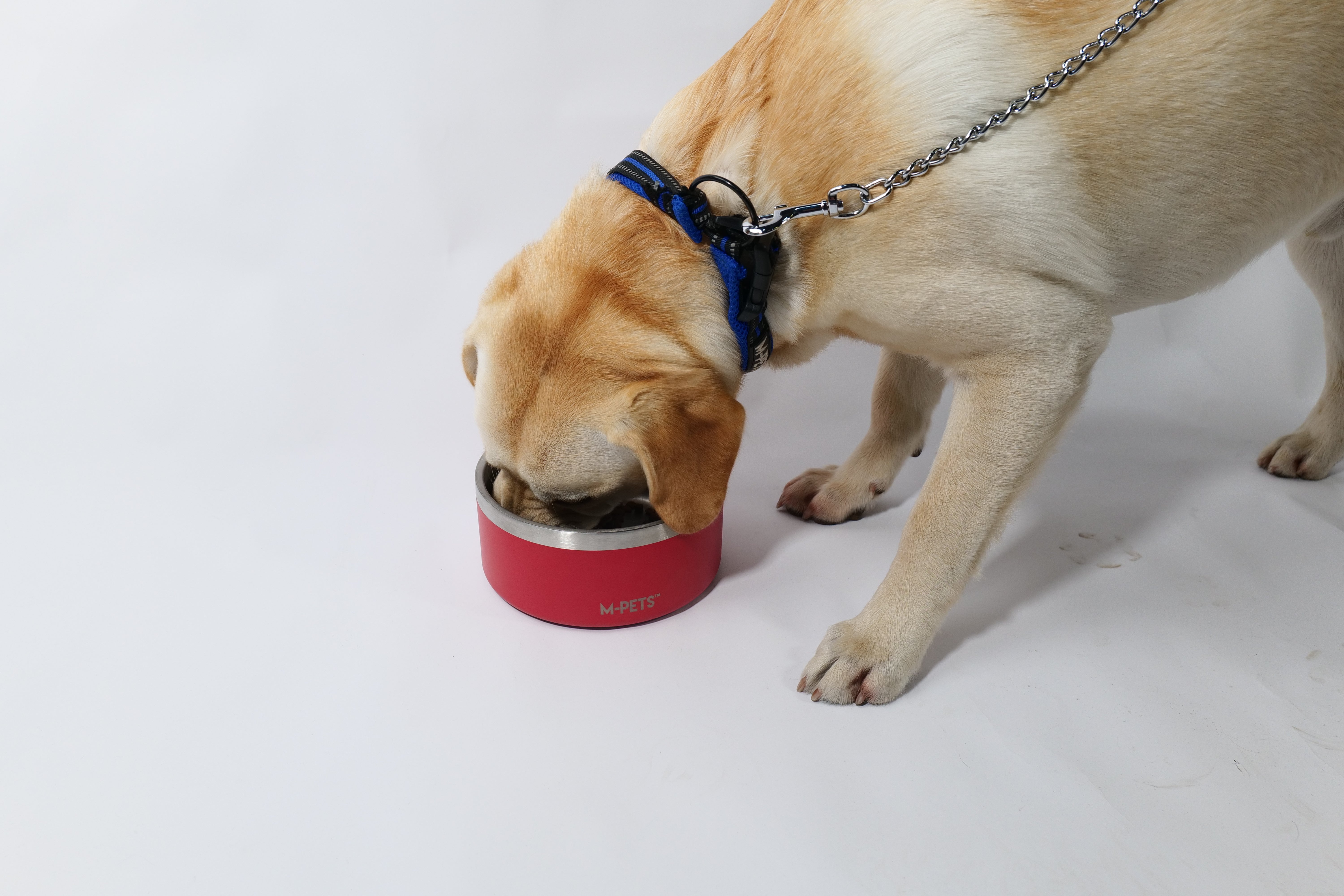 Bowl de Acero Inoxidable Doble Pared ESKIMO Rojo para Perros y Gatos | M‑PETS®