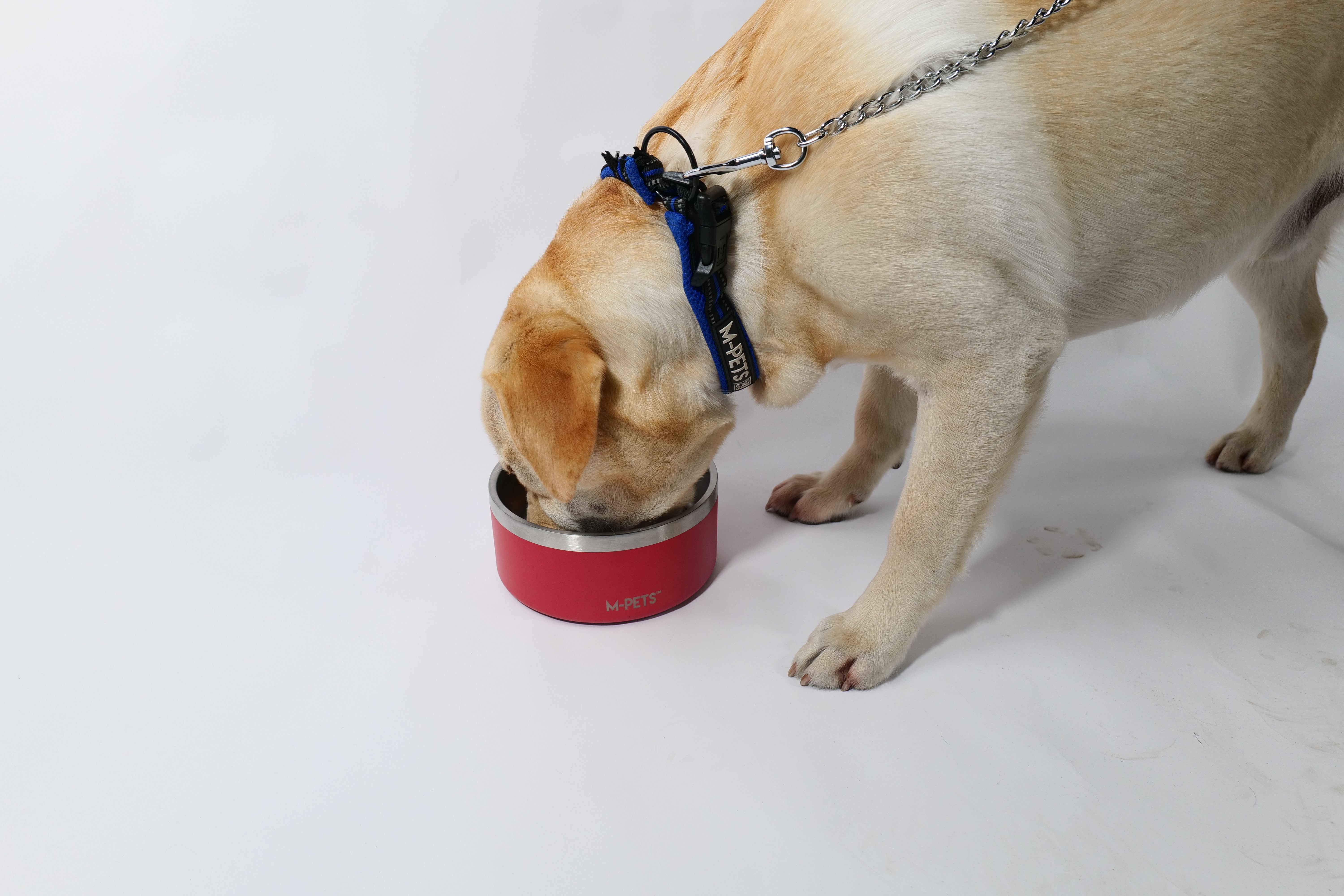 Bowl de Acero Inoxidable Doble Pared ESKIMO Rojo para Perros y Gatos | M‑PETS®