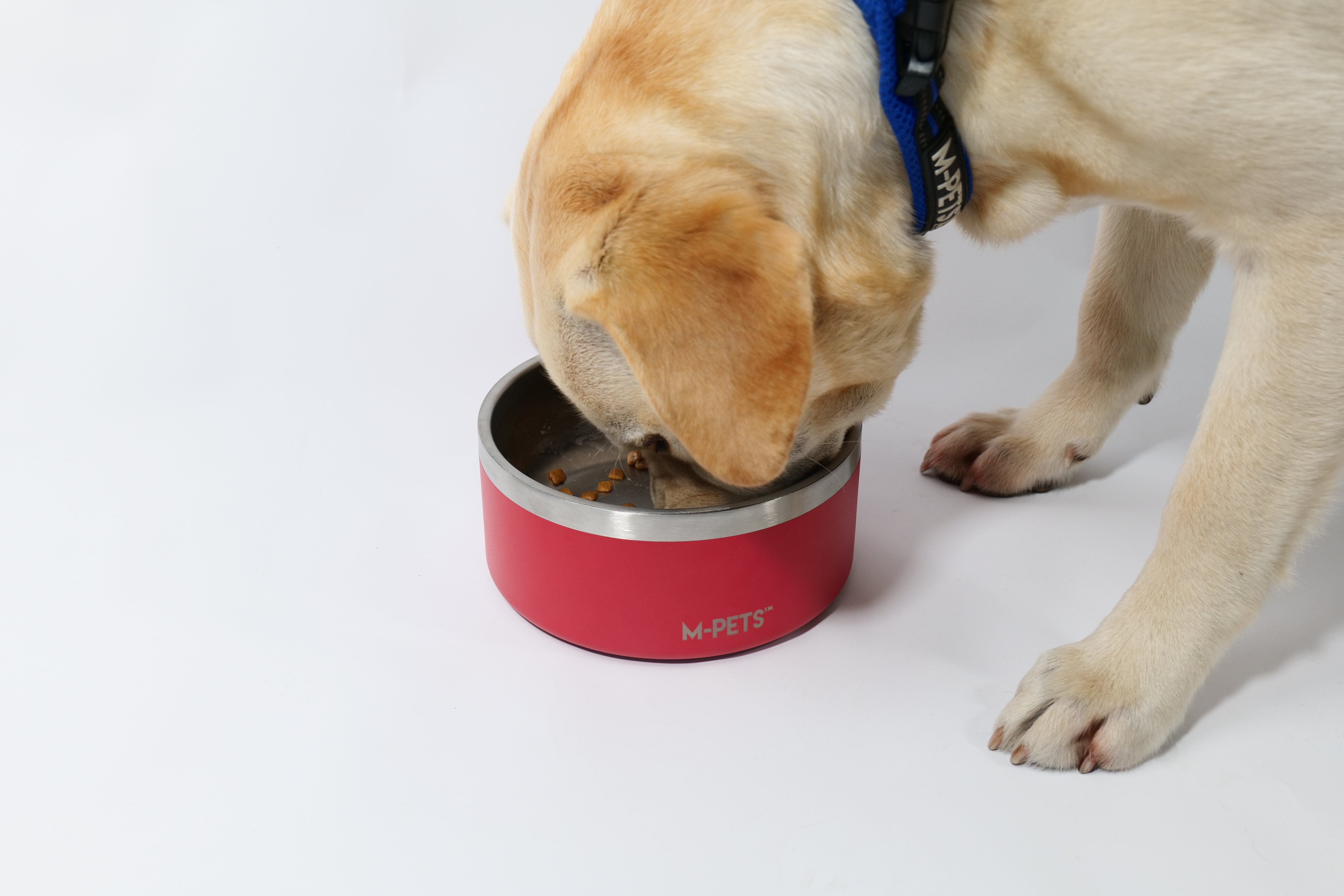 Bowl de Acero Inoxidable Doble Pared ESKIMO Rojo para Perros y Gatos | M‑PETS®