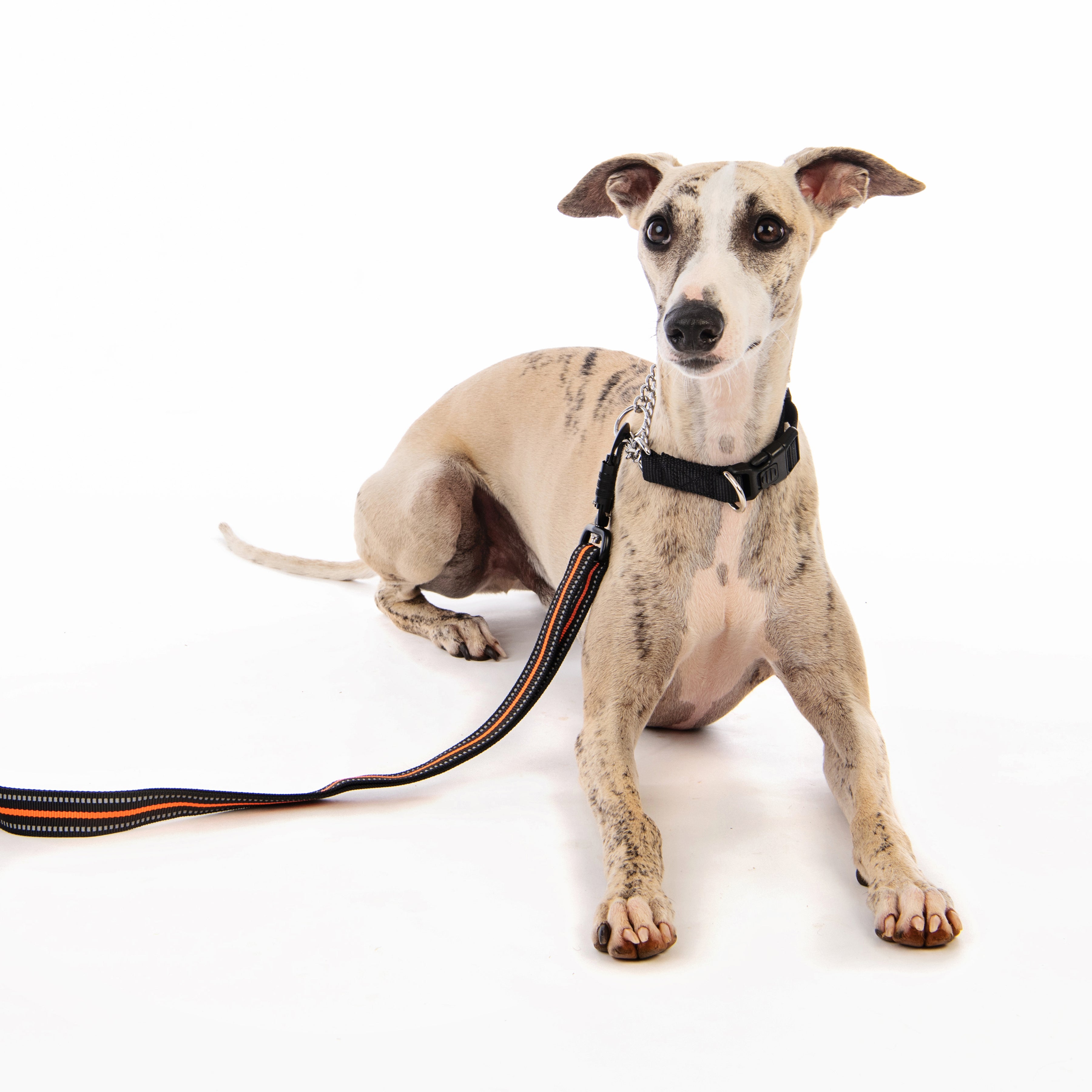 Collar KOMBI Semi-Choke 2 en 1 para Perro – Control Suave para Entrenamiento | M-PETS®