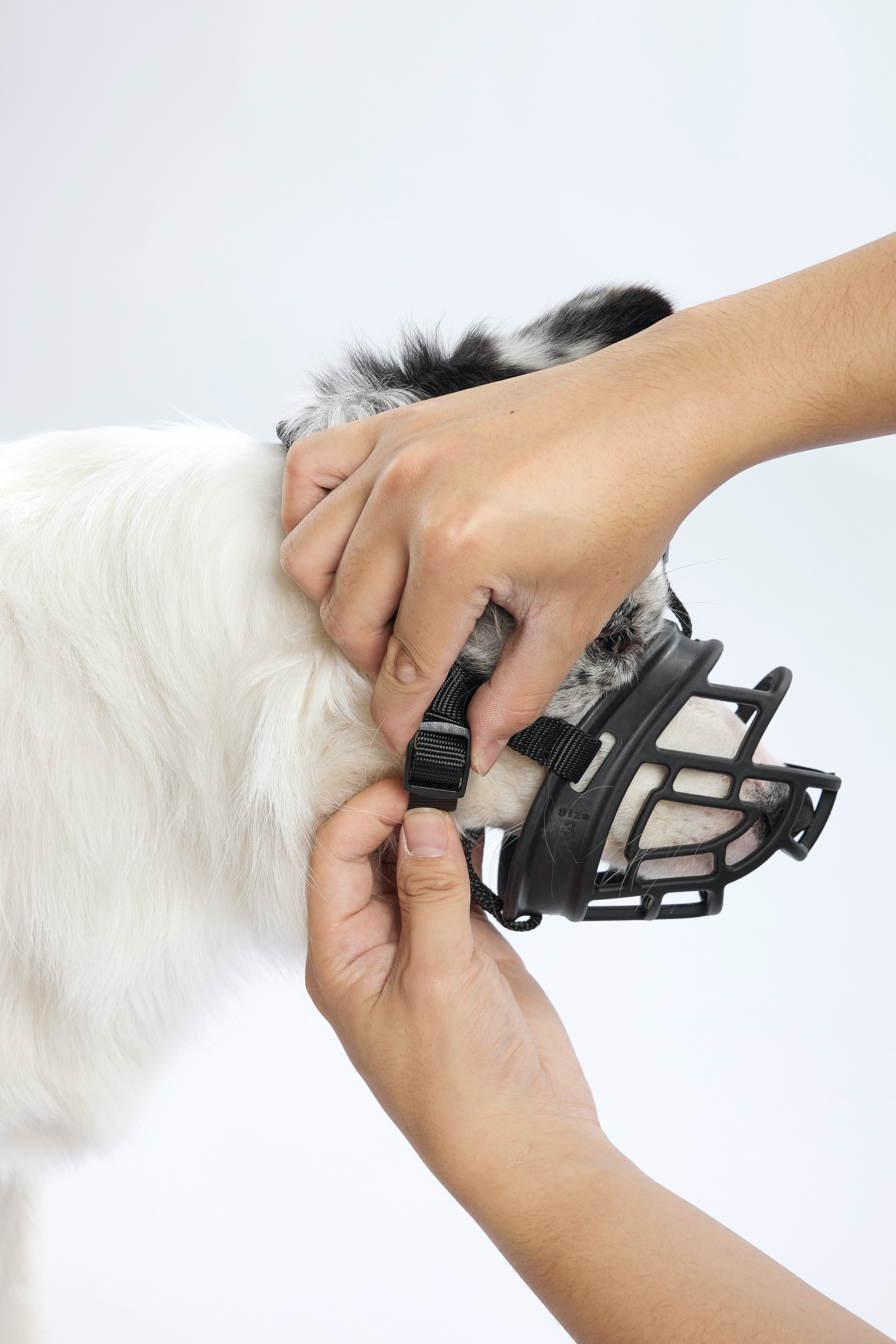 Bozal Tipo Canasta BARK GUARD para Perro Negro y Amarillo | M‑PETS®