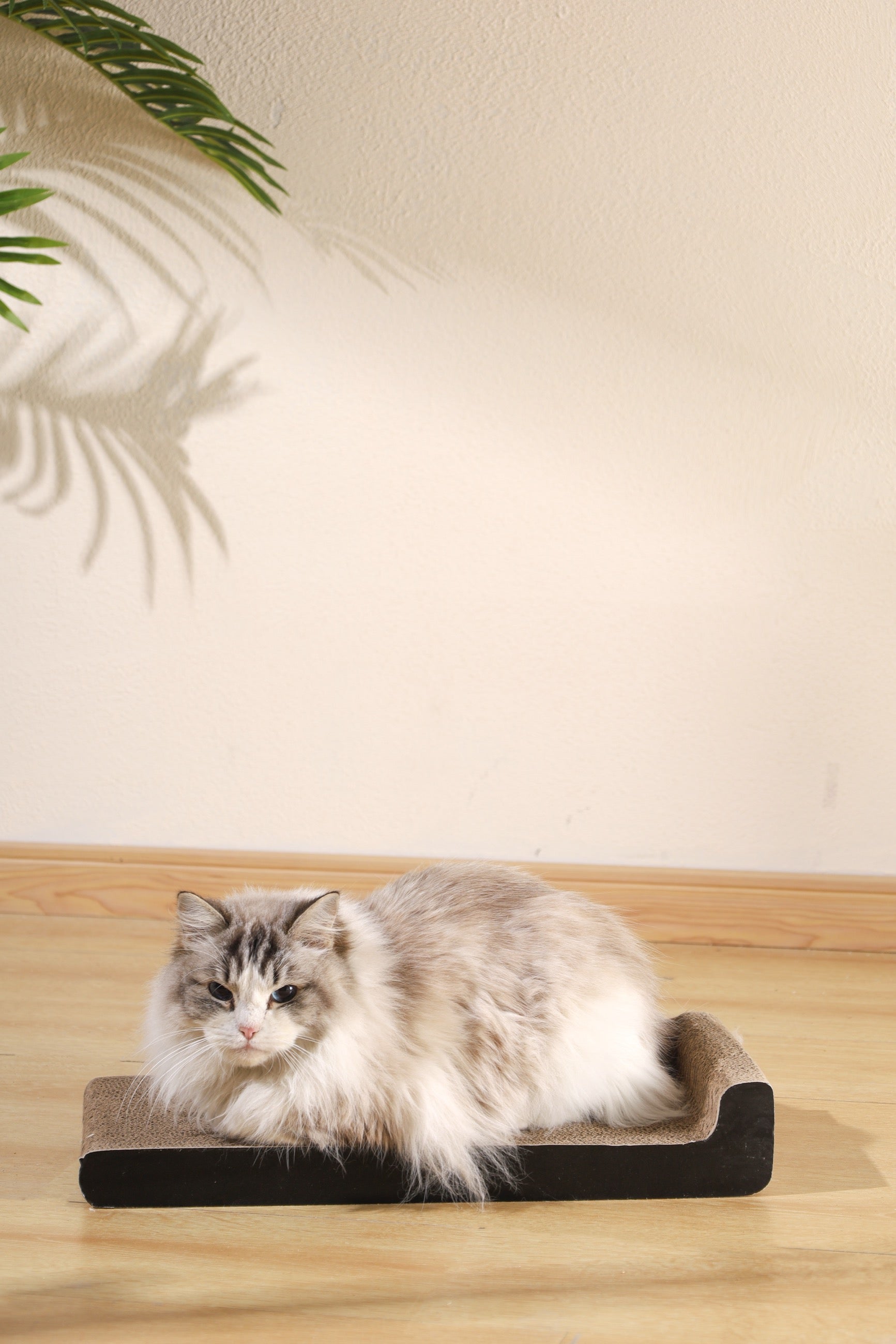 Rascador de Cartón MY SCRATCHY MONTANA | M-PETS®