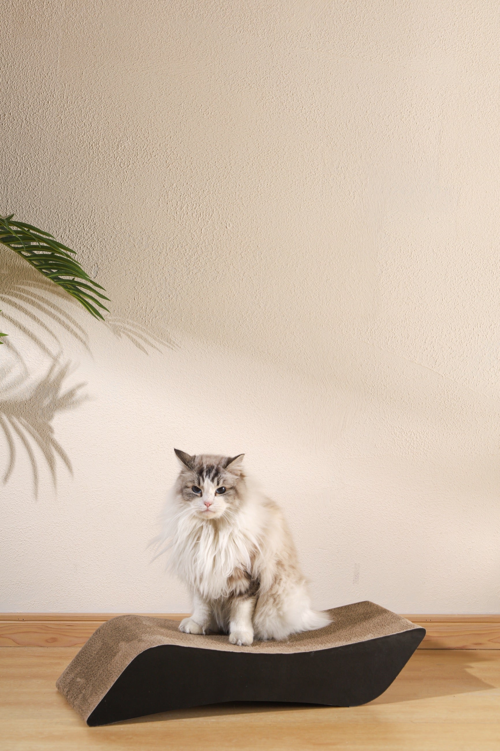 Rascador de Cartón MY SCRATCHY TAMPA | M-PETS®