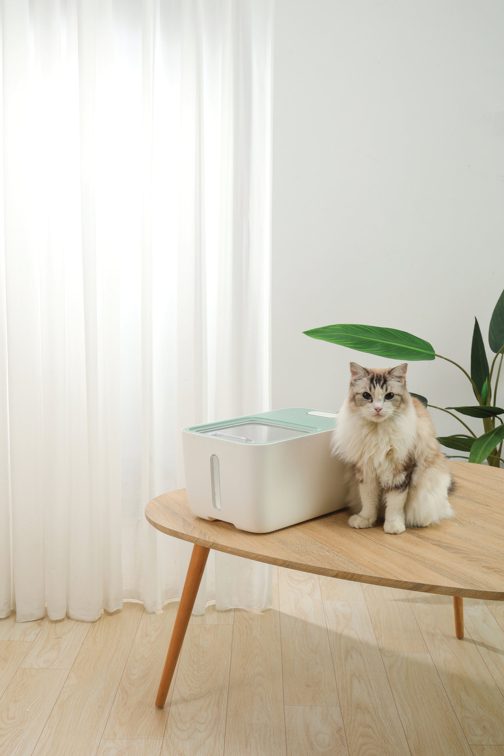 Contenedor de Alimento Hermético BOXI con Ruedas y Ventana (10 kg) para Mascotas | M‑PETS®