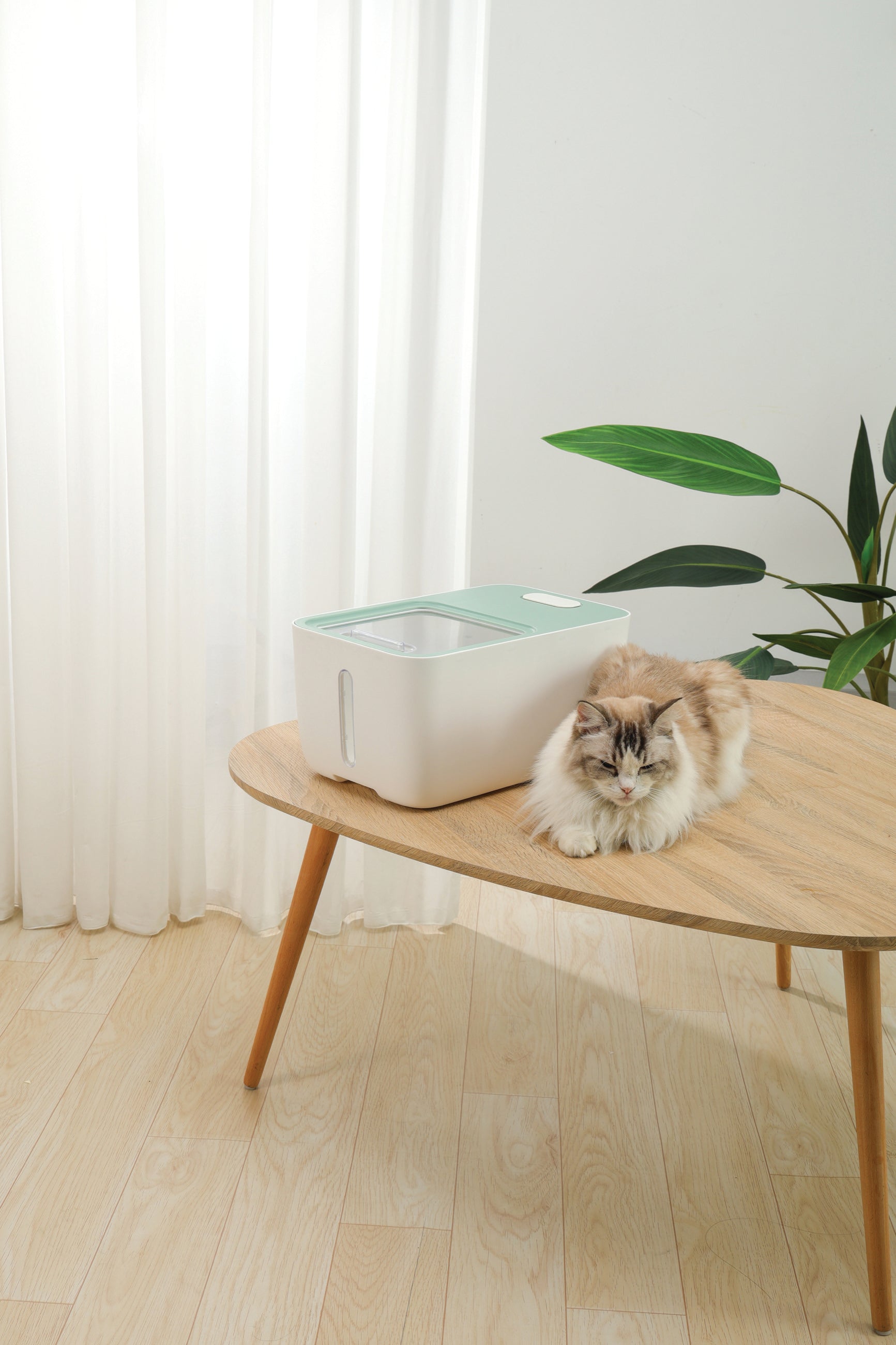 Contenedor de Alimento Hermético BOXI con Ruedas y Ventana (10 kg) para Mascotas | M‑PETS®