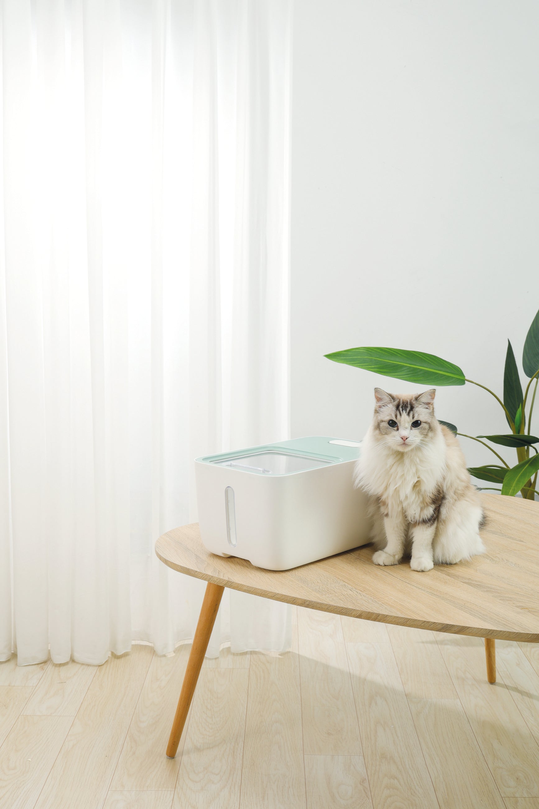 Contenedor de Alimento Hermético BOXI con Ruedas y Ventana (10 kg) para Mascotas | M‑PETS®
