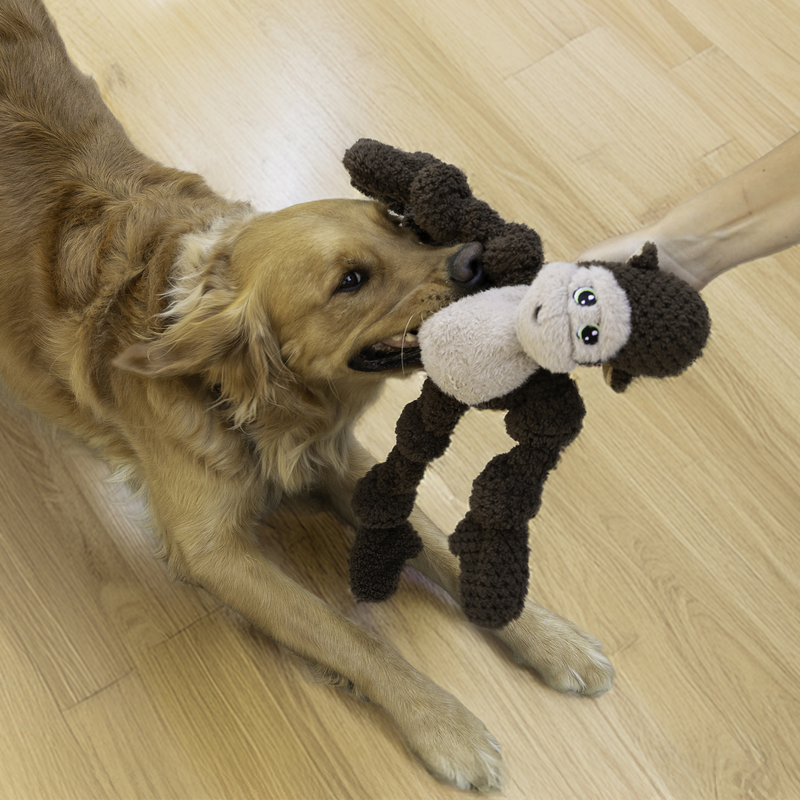 Dos perros jugando a jalar el KONG Knots Monkey