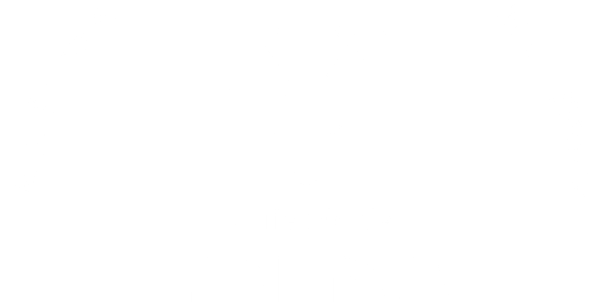 Peluches Participantes · Todo en la Cancha — La Tienda de Frida & Chelsee