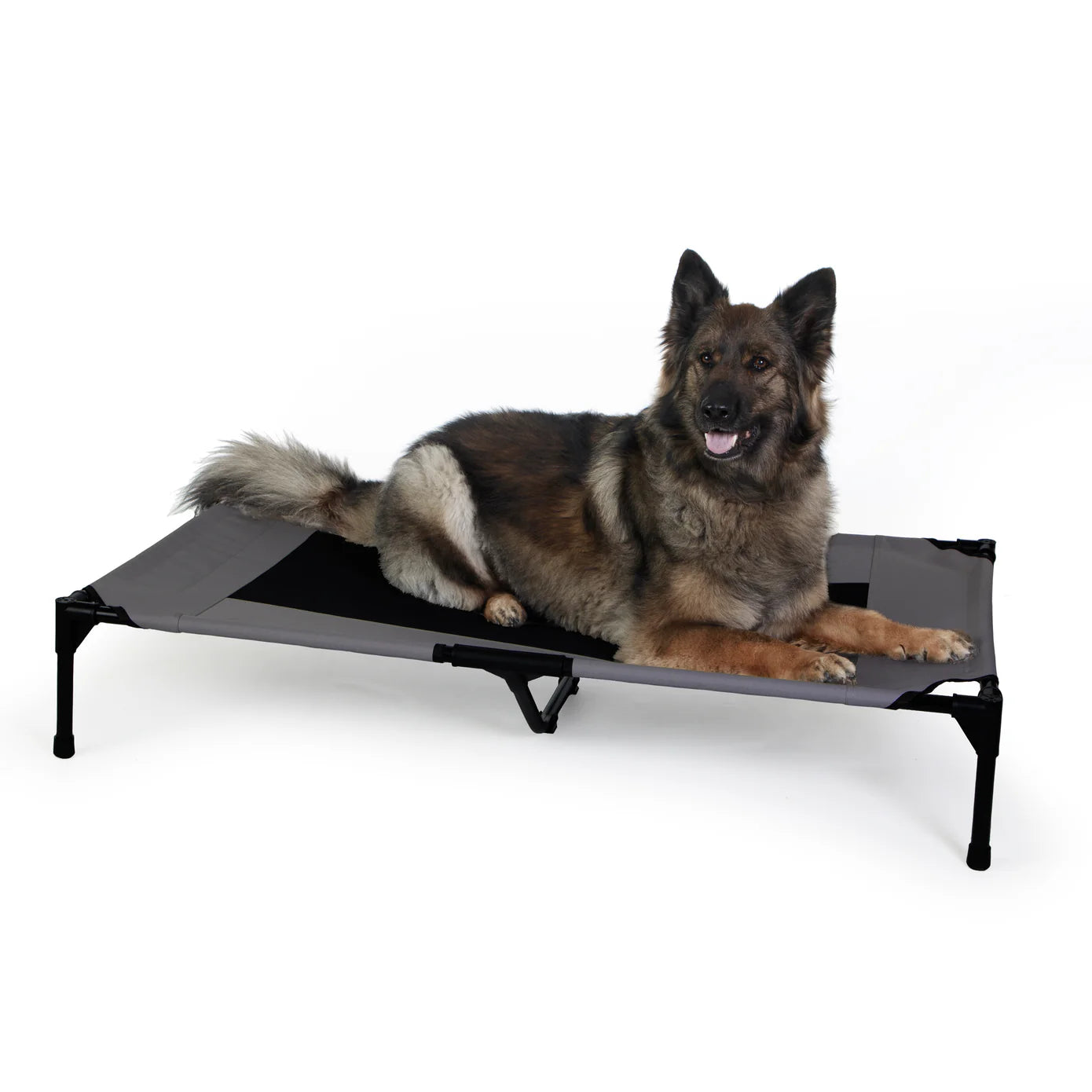 Cama Elevada para Perros Original Pet Cot - Colores y Tallas (Chica, Mediana, Grande, Extra Grande y Jumbo) | K&H
