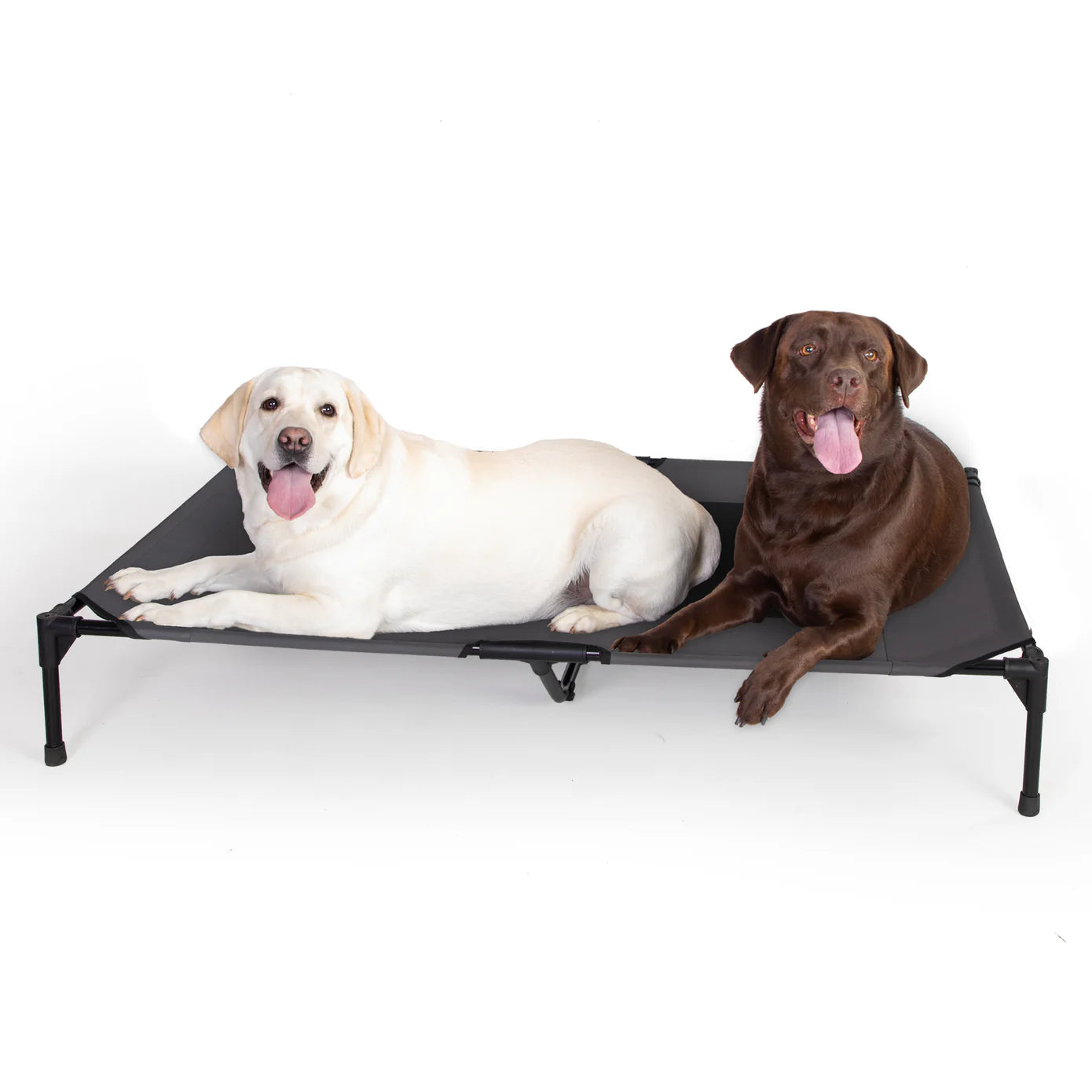 Cama Elevada para Perros Original Pet Cot - Colores y Tallas (Chica, Mediana, Grande, Extra Grande y Jumbo) | K&H
